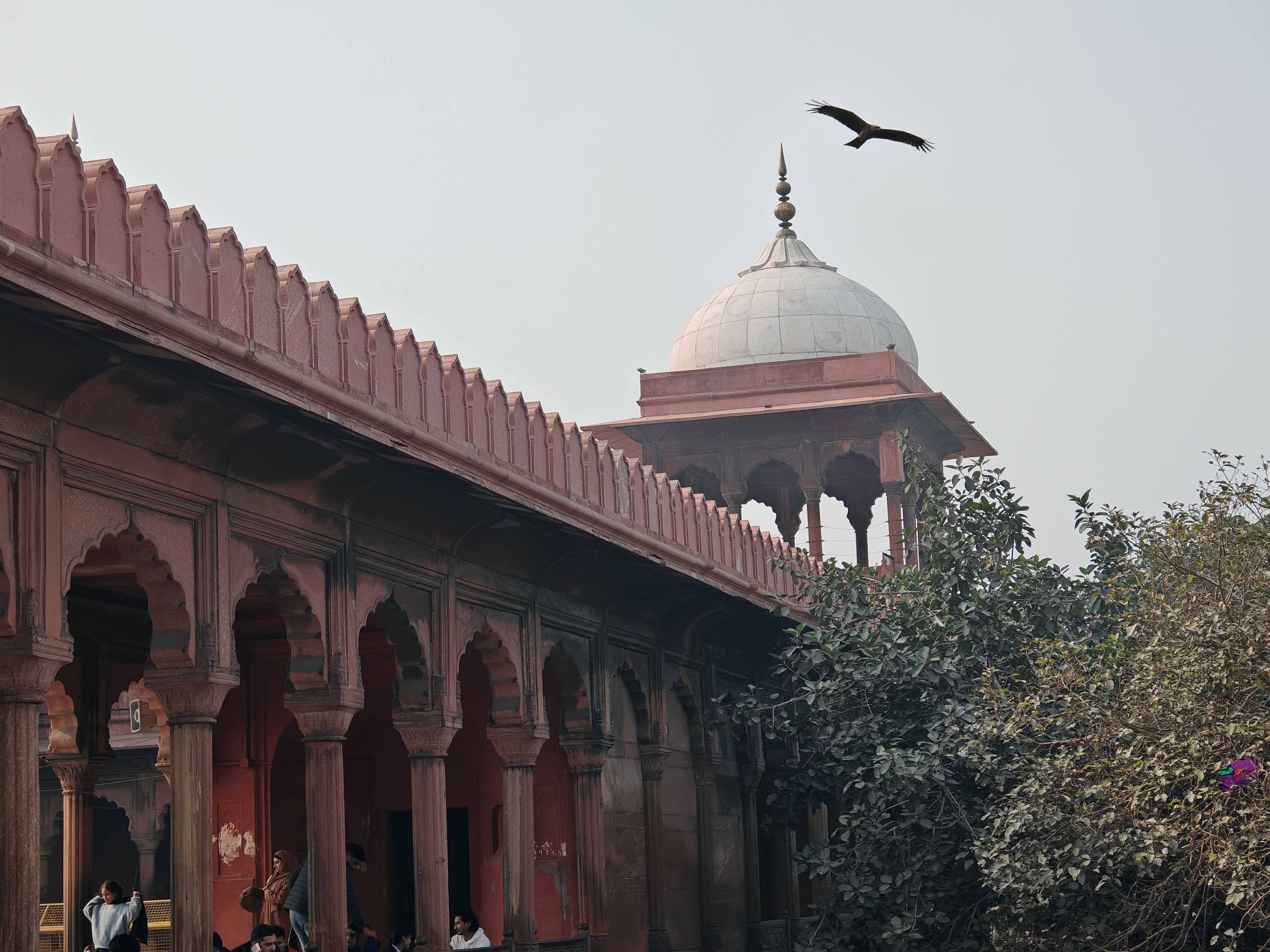 Великие Моголы, раджпуты и тантристы: индивидуальное путешествие в самое сердце Индии (2/30)