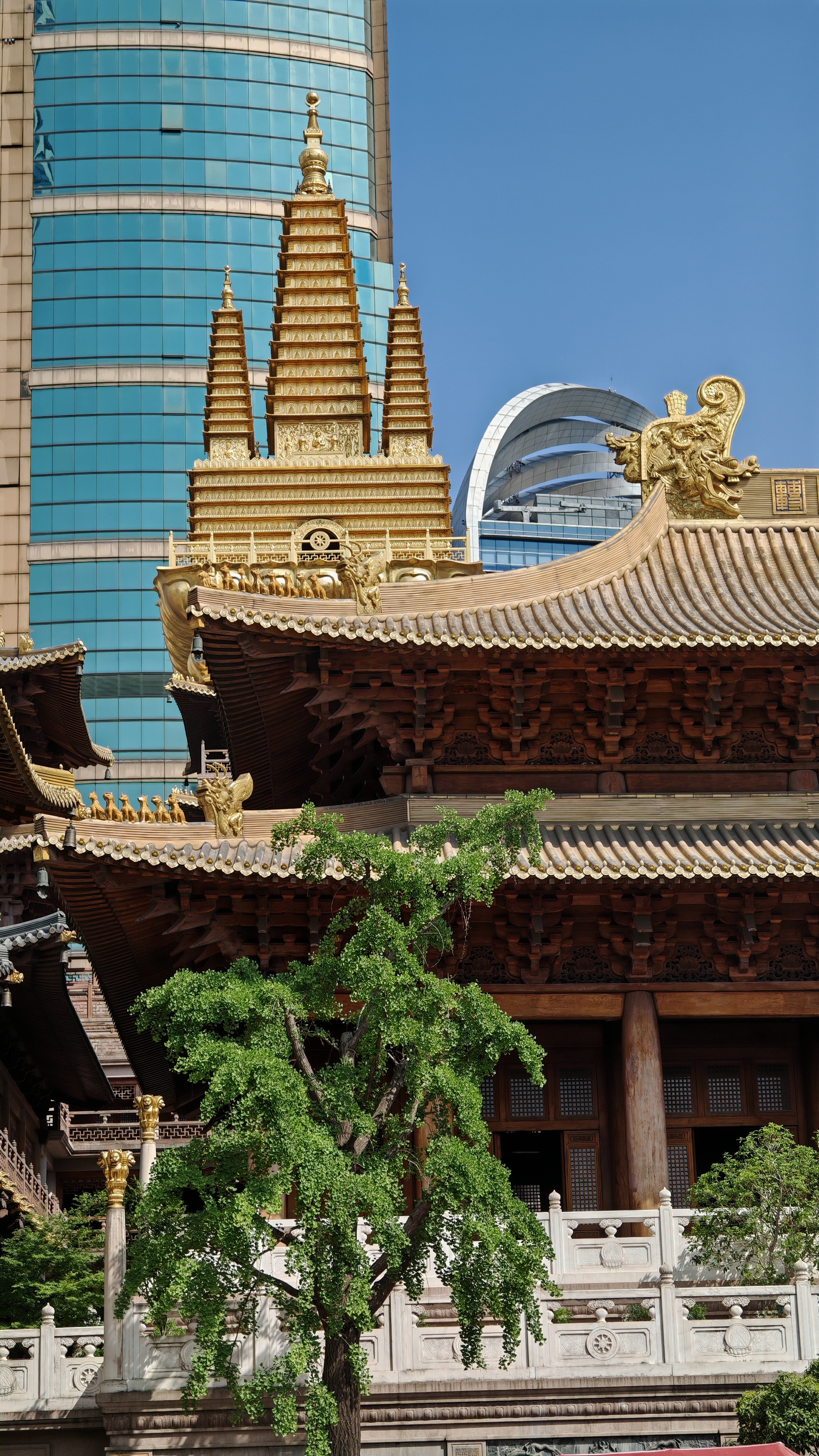 Красоты Восточного Китая: Шанхай, Чжуцзяцзяо, озеро Циншань, рассвет в горах Хуаншань (16/56)