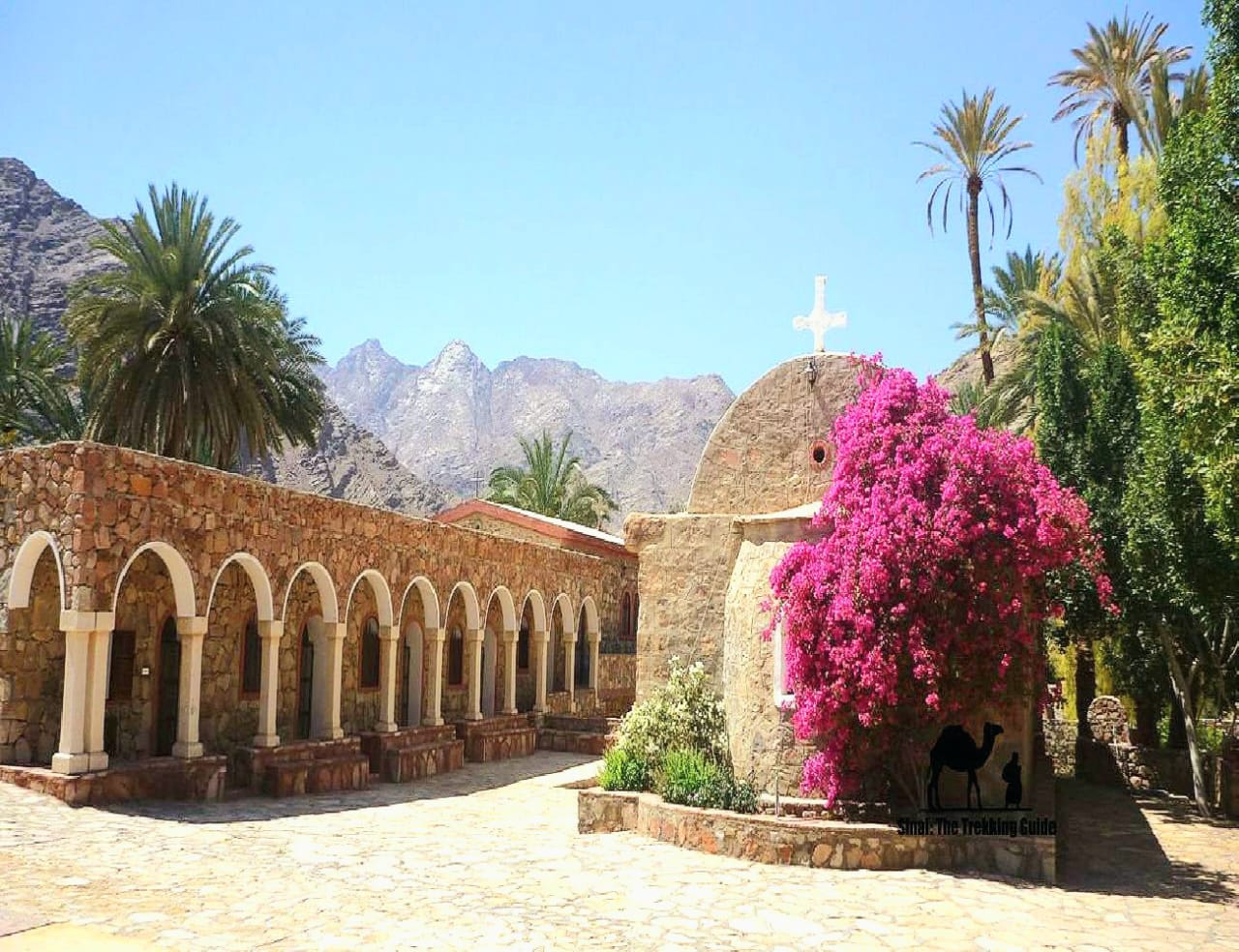 От Пирамид До Иерусалима -Великий Исход В Обетованную Землю (37/38)