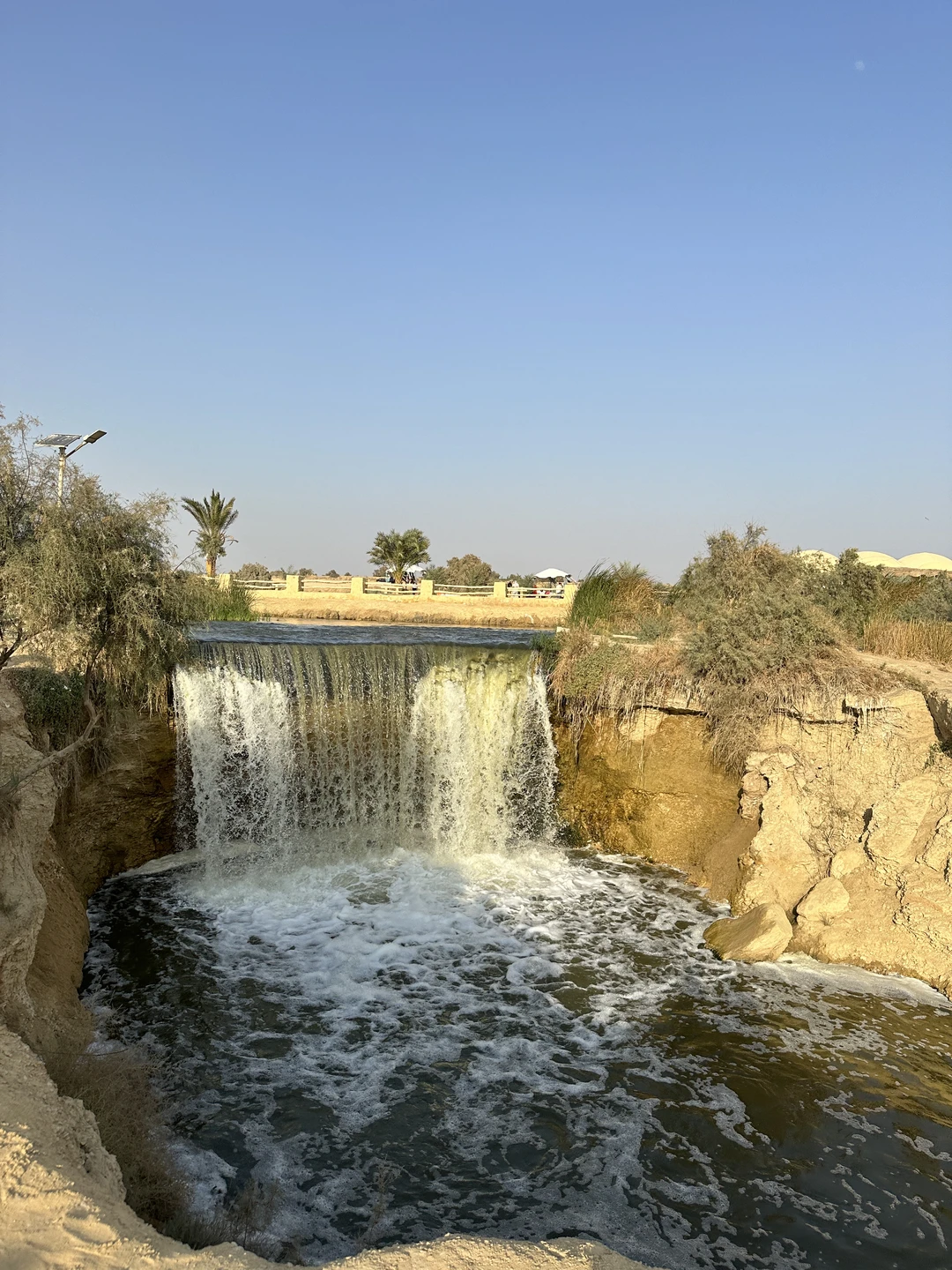 Оазис Эль-Файюм и Долина китов (от 1 до 5 человек) (7/9)