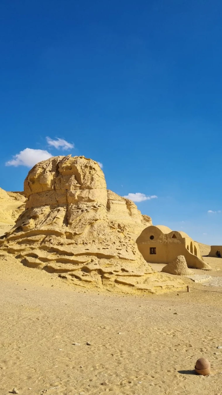 Оазис Эль-Файюм и Долина китов (от 1 до 5 человек) (6/9)