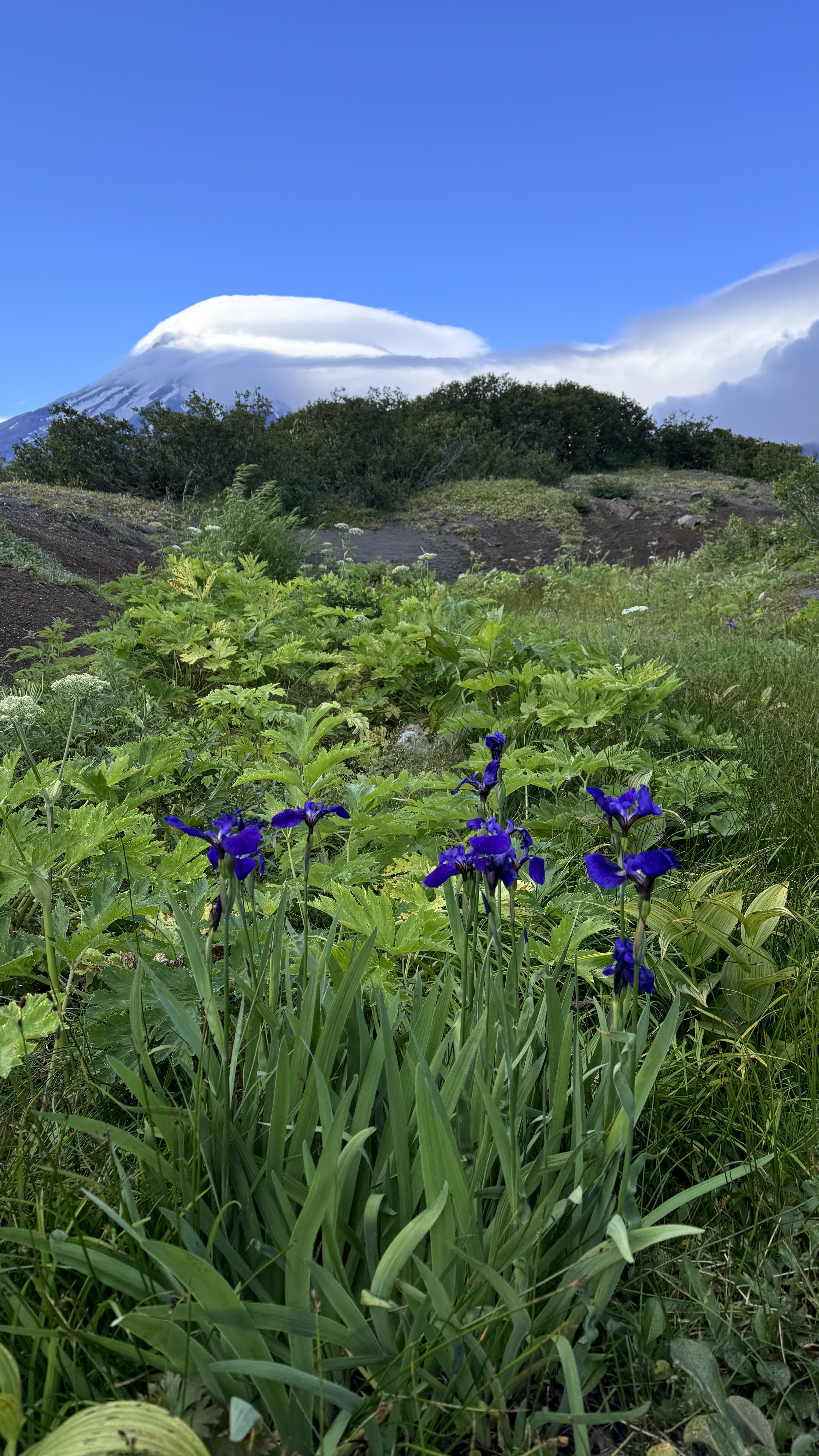 Путешествие по Камчатке: поход и экскурсии (24/39)
