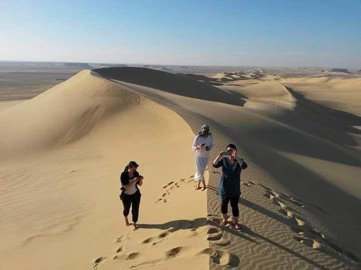 Оазис Эль-Файюм и Долина китов (от 1 до 5 человек) (9/9)