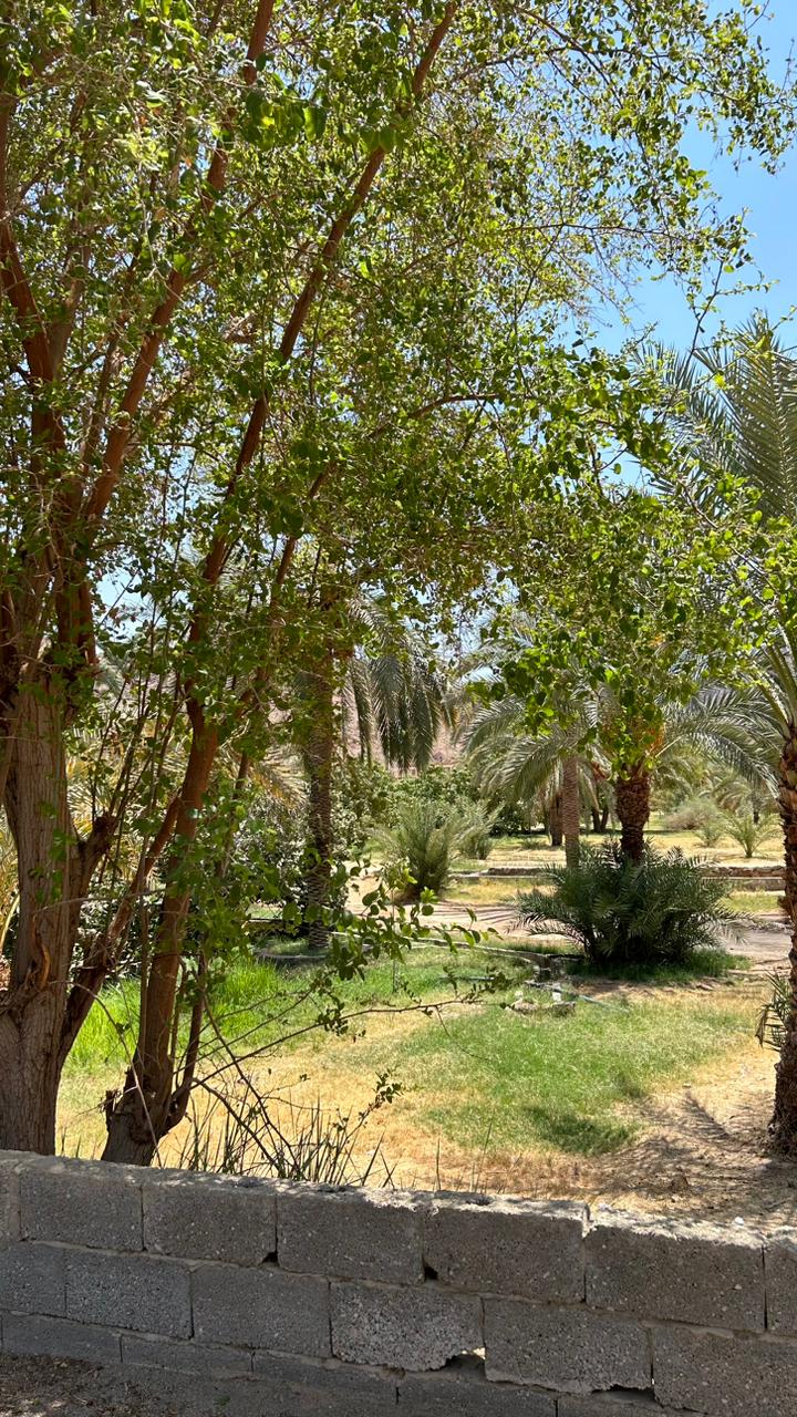 От Пирамид До Иерусалима -Великий Исход В Обетованную Землю (34/38)