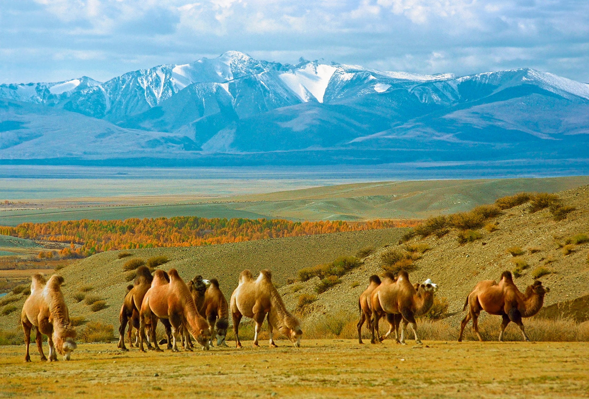 Золотое кольцо Алтая, обзорный автотур (1/42)