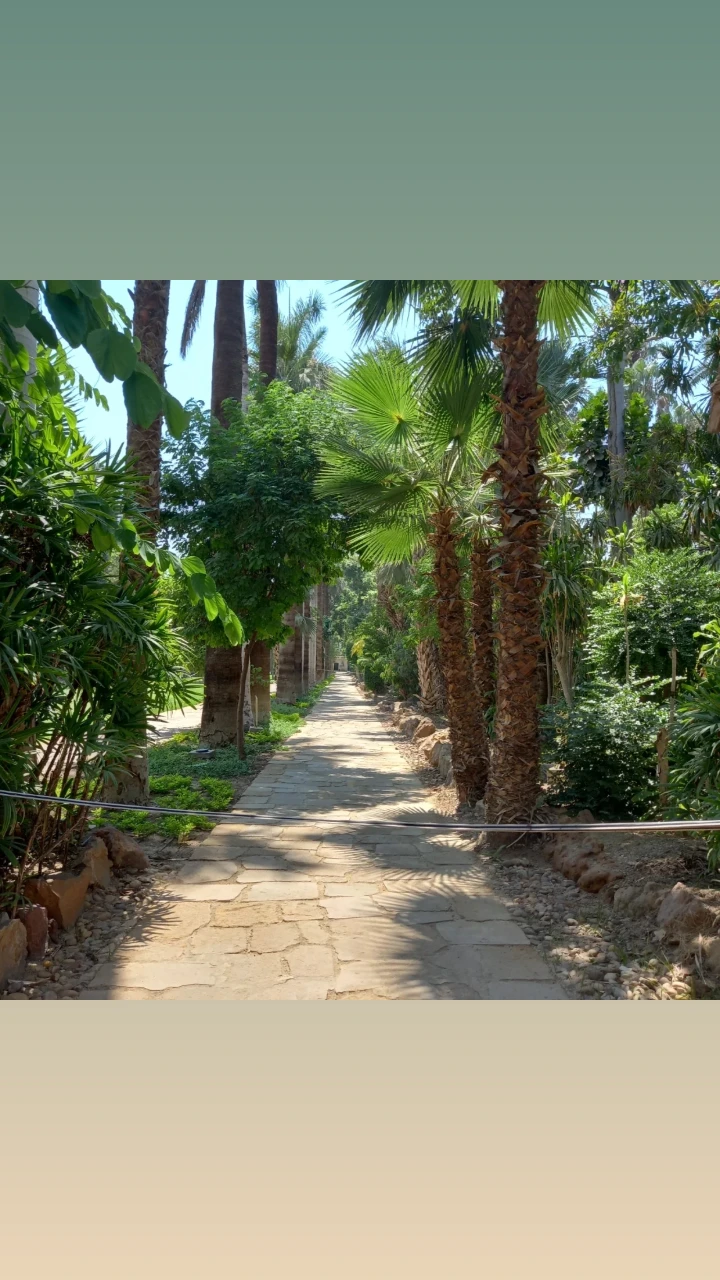 От Пирамид До Иерусалима -Великий Исход В Обетованную Землю (30/38)