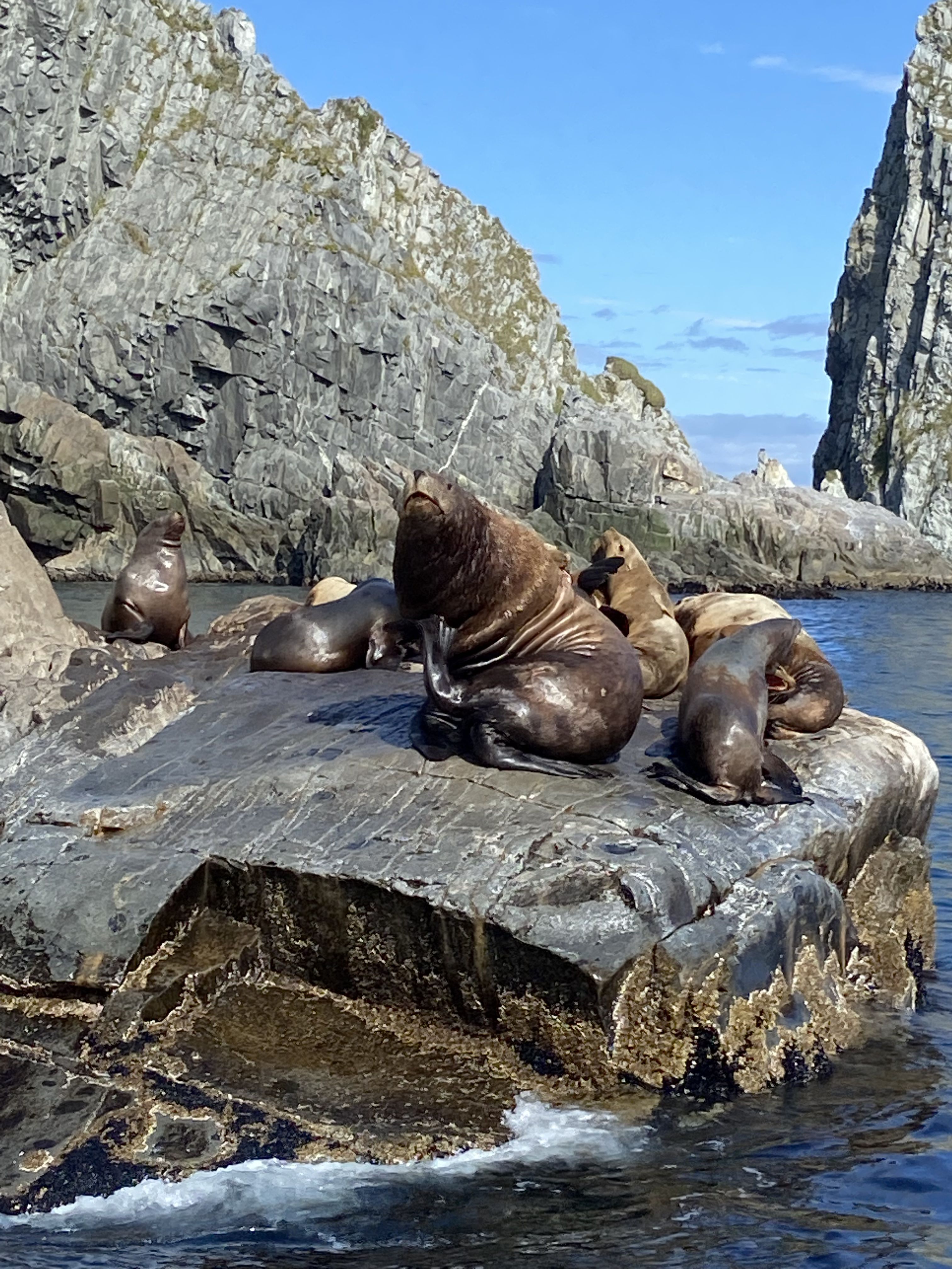 Путешествие по Камчатке: поход и экскурсии (32/39)