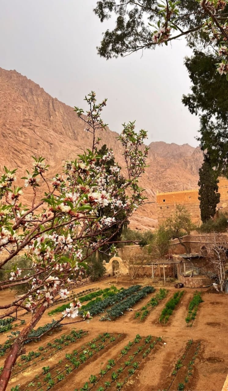 От Пирамид До Иерусалима -Великий Исход В Обетованную Землю (25/38)