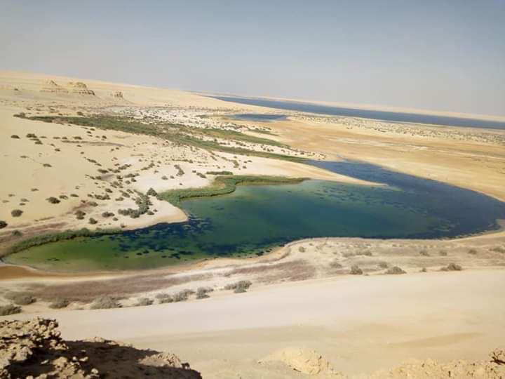 Оазис Эль-Файюм и Долина китов (от 1 до 5 человек)