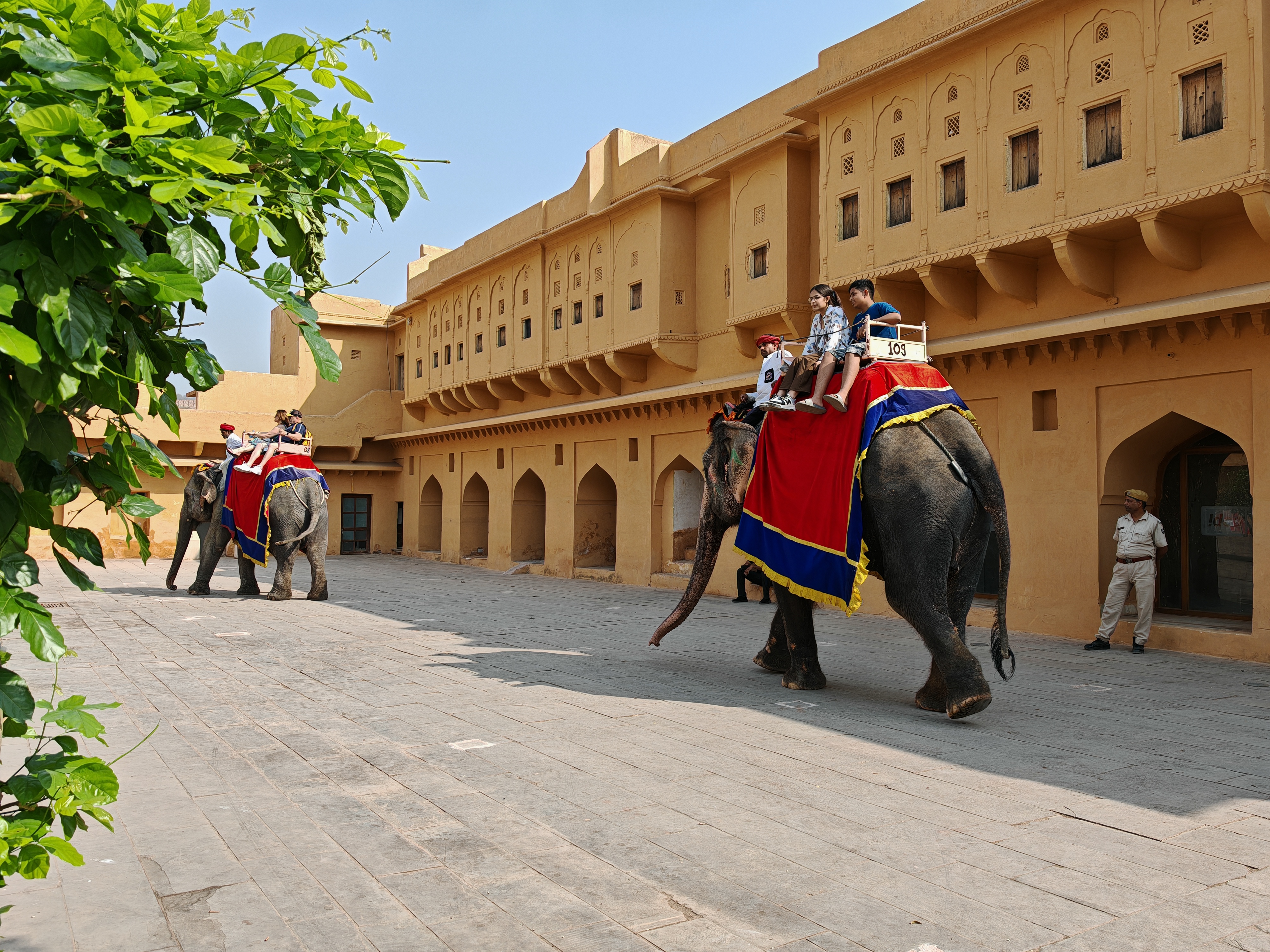 Великие Моголы, раджпуты и тантристы: индивидуальное путешествие в самое сердце Индии (15/30)