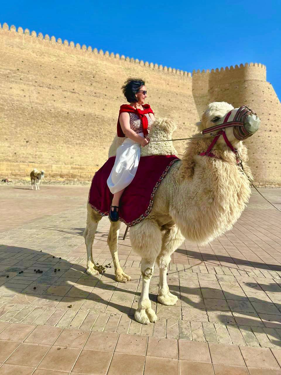 Узбекистан: встреча с восточным гостеприимством! (5/46)