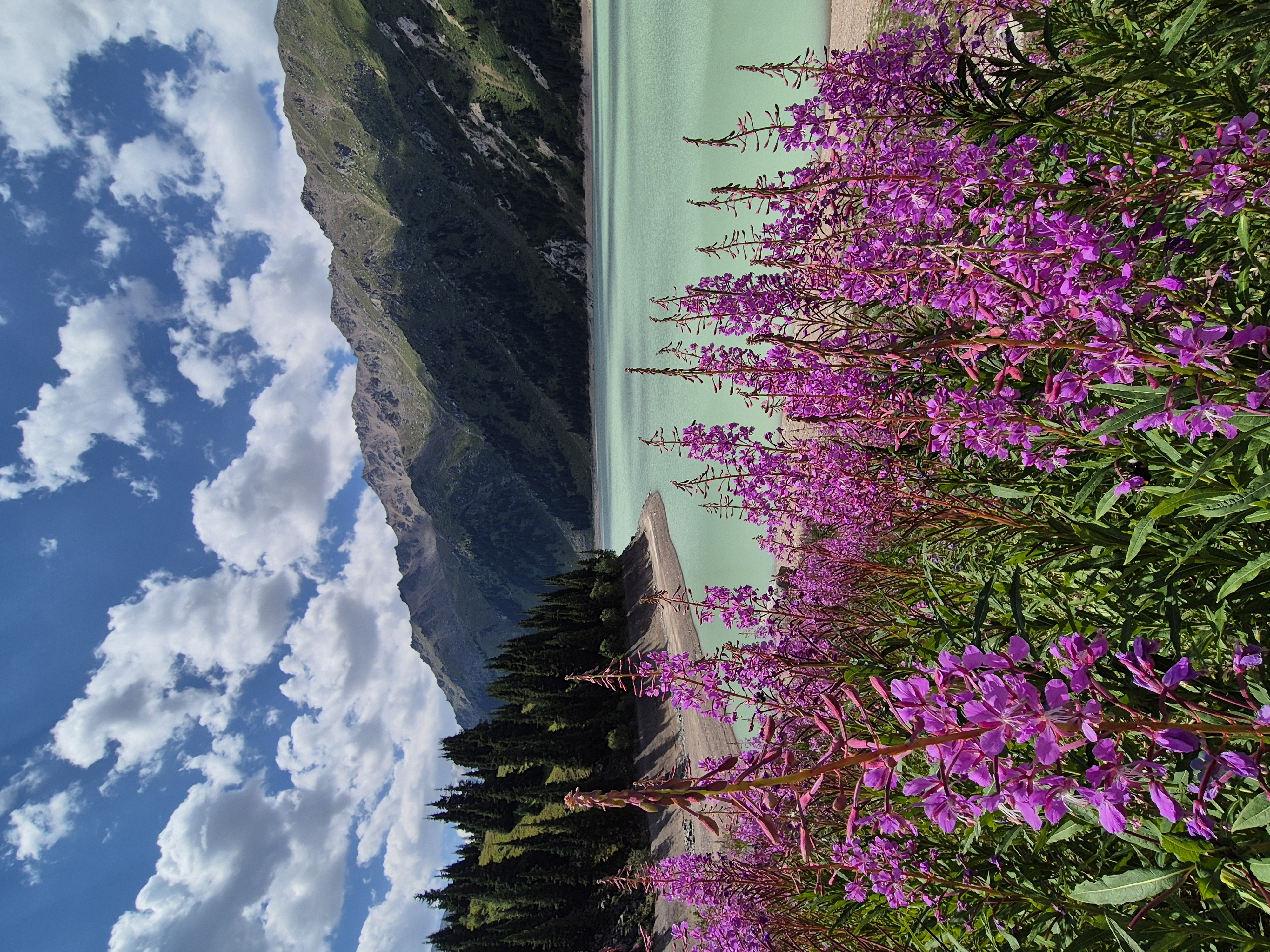 Большое Алматинское озеро (2/19)