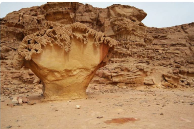 От Пирамид До Иерусалима -Великий Исход В Обетованную Землю (27/38)