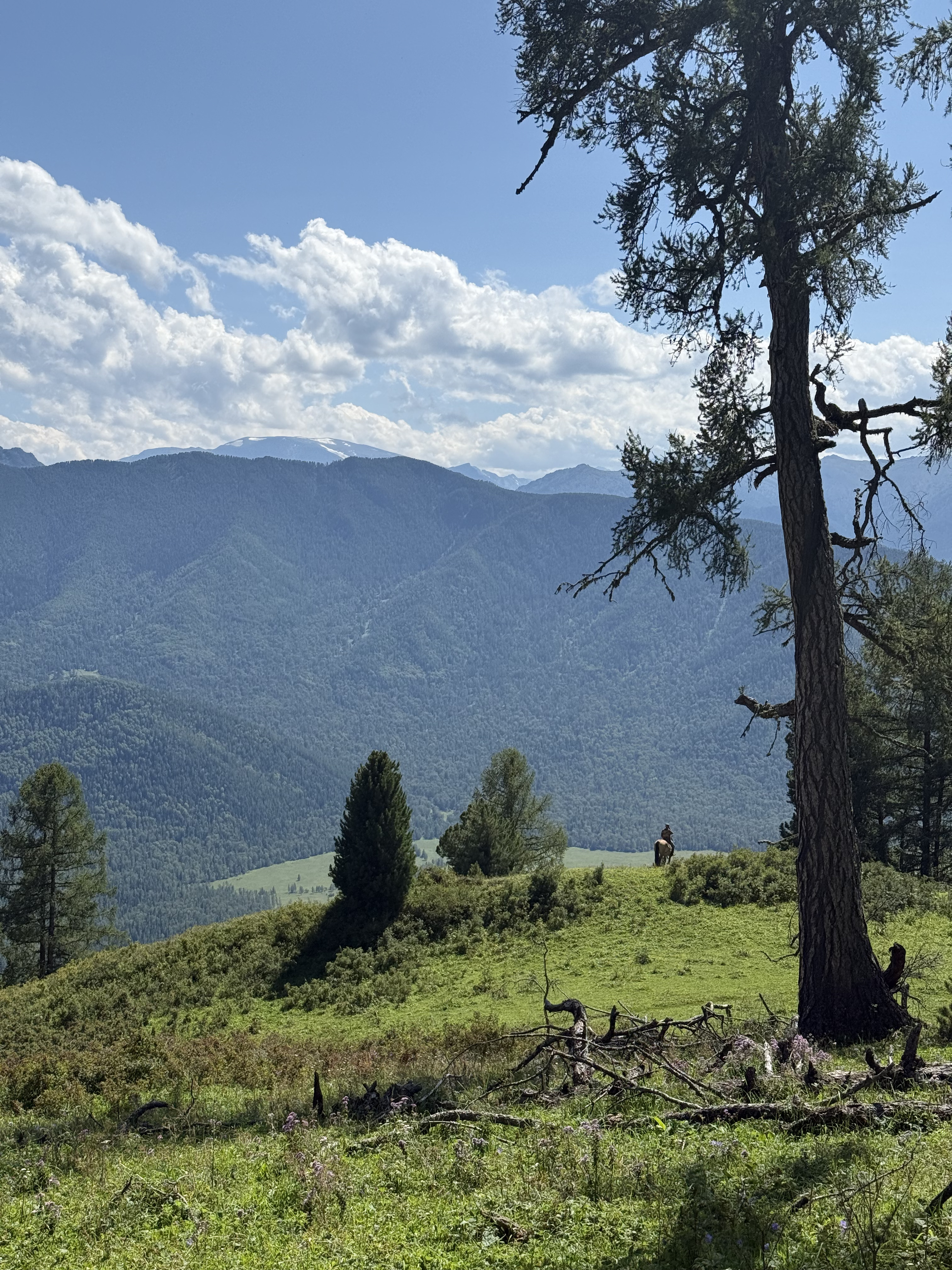 Приключения в Долине Белой горы (9/27)