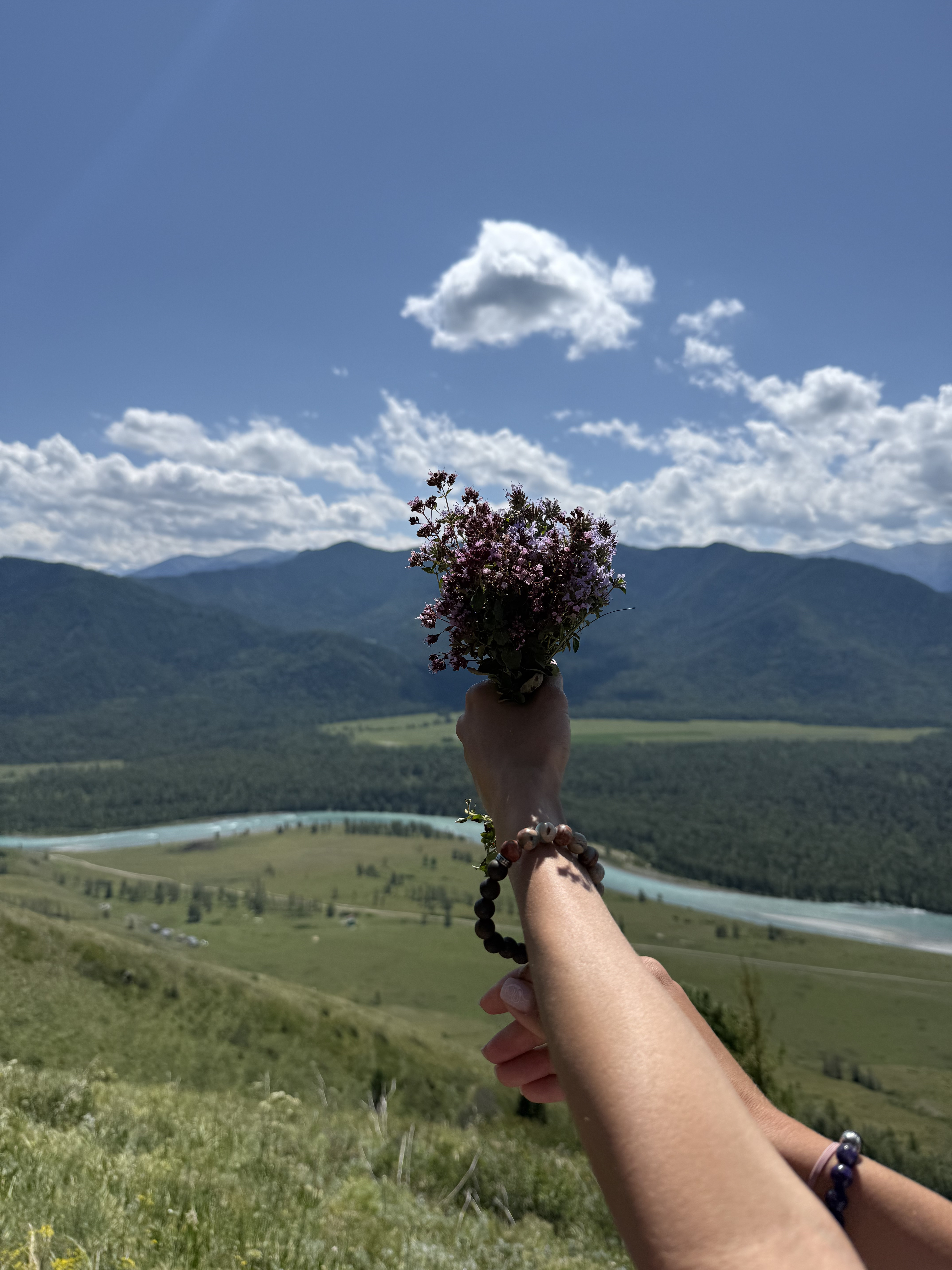 Приключения в Долине Белой горы (20/27)