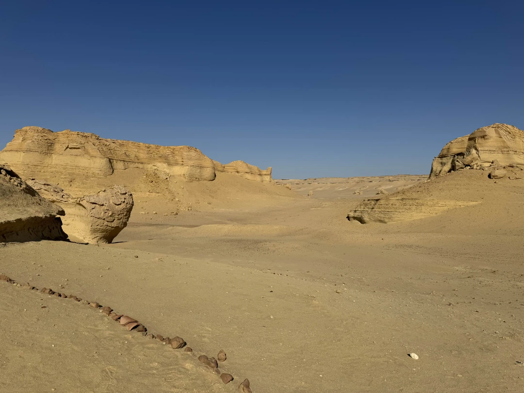 Оазис Эль-Файюм и Долина китов (от 1 до 5 человек) (5/9)