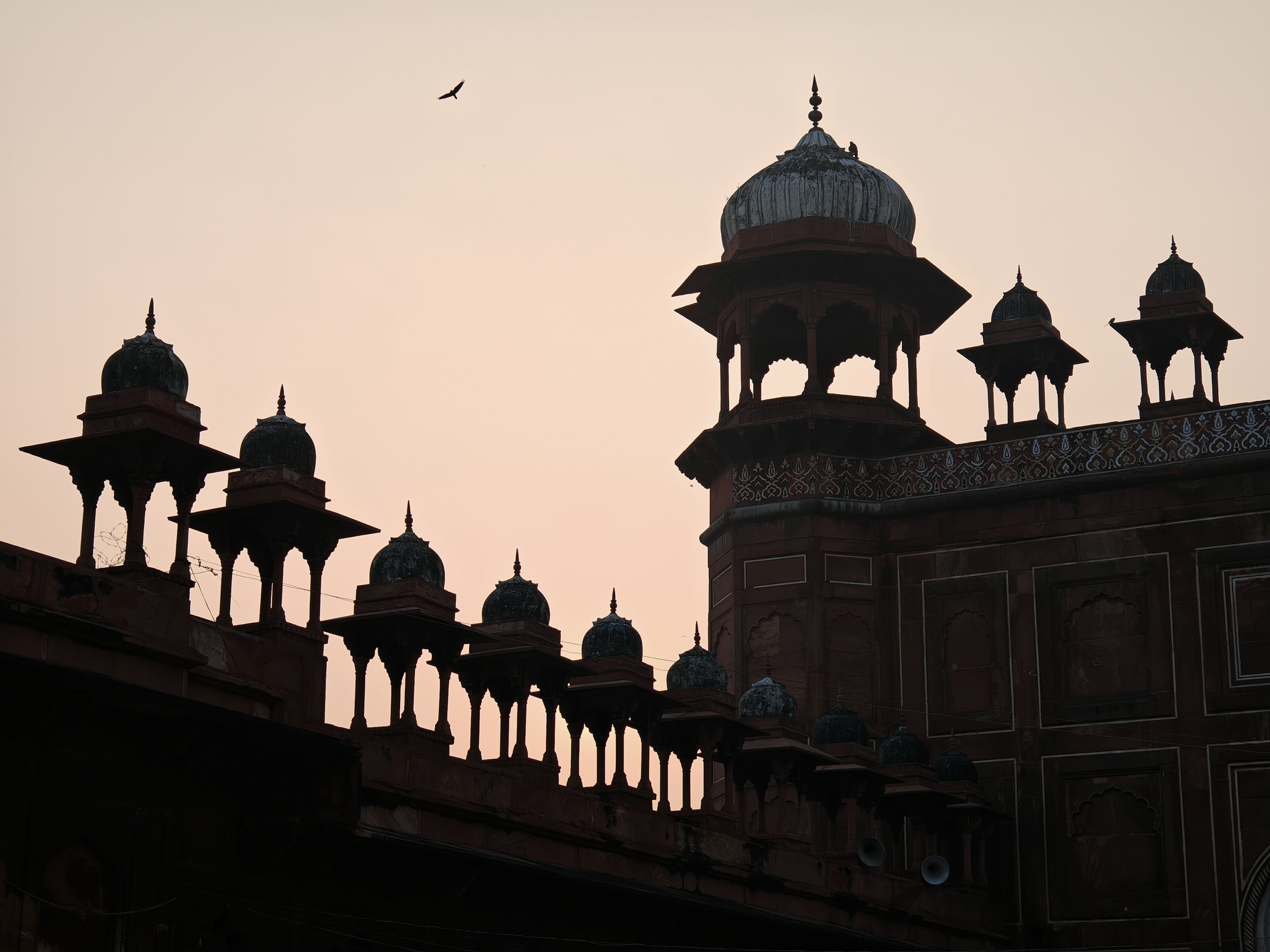 Великие Моголы, раджпуты и тантристы: индивидуальное путешествие в самое сердце Индии (14/30)