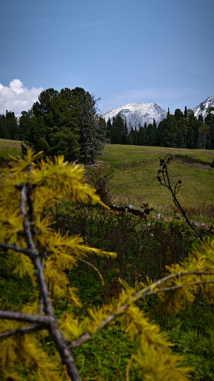 Приключения в Долине Белой горы (18/27)