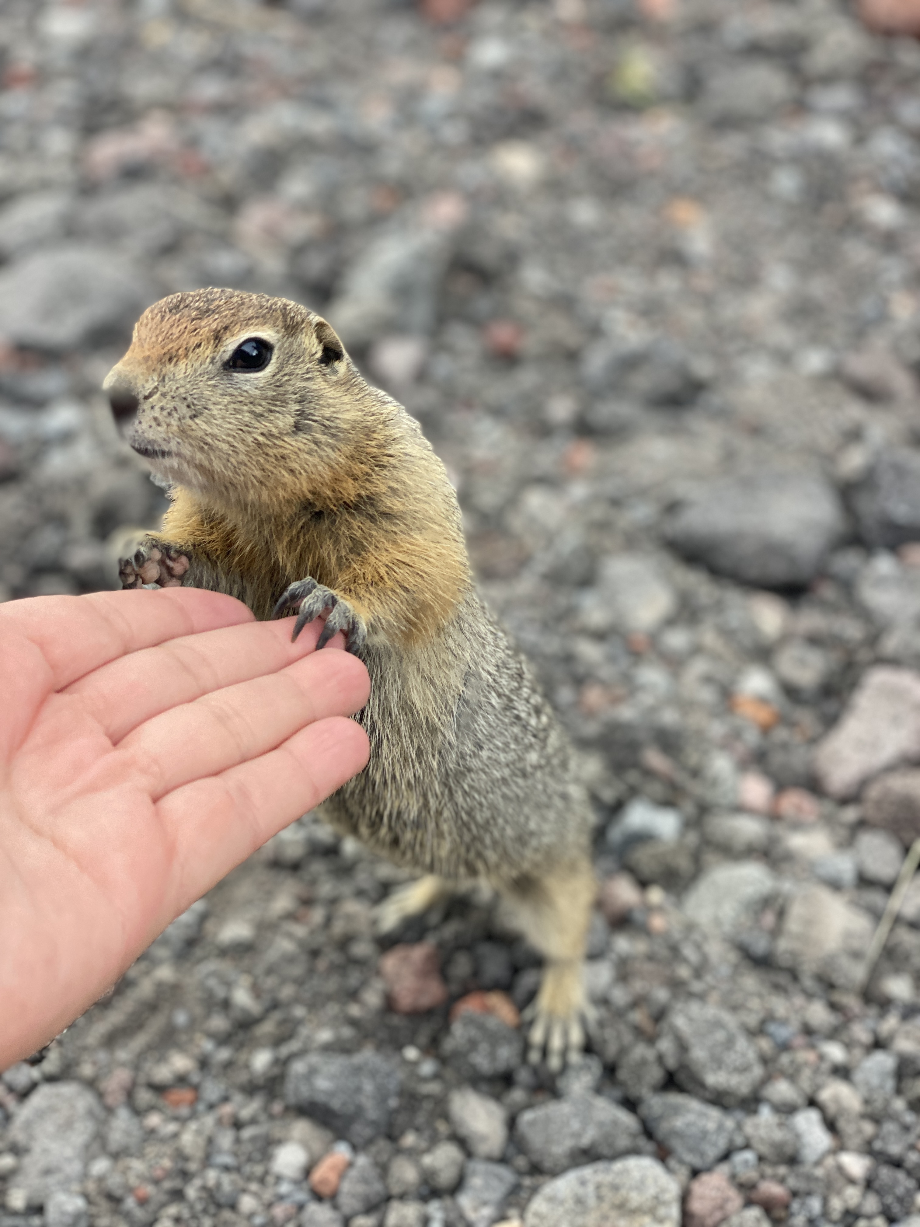Путешествие по Камчатке: поход и экскурсии (10/39)