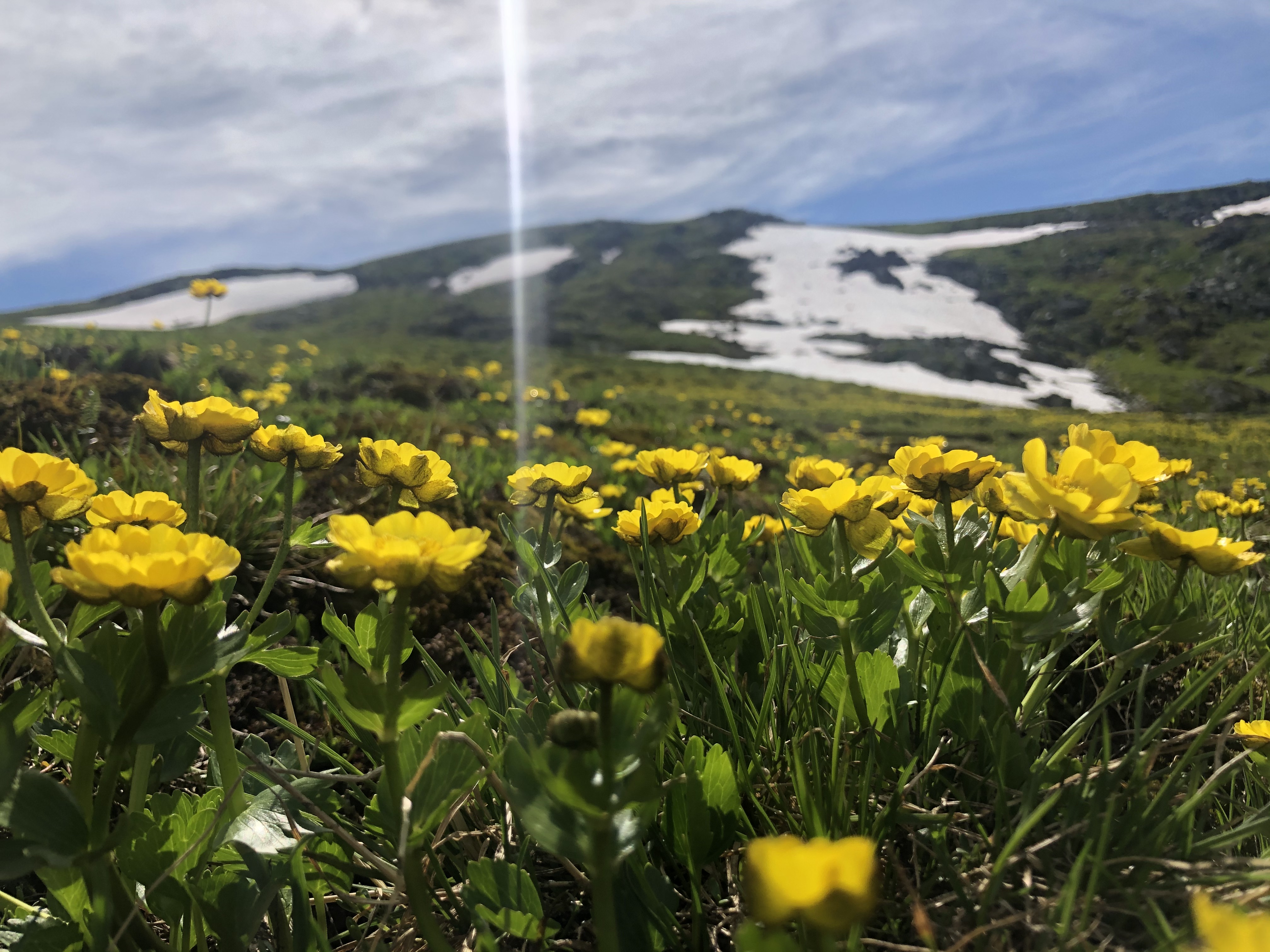 Приключения в Долине Белой горы (19/27)
