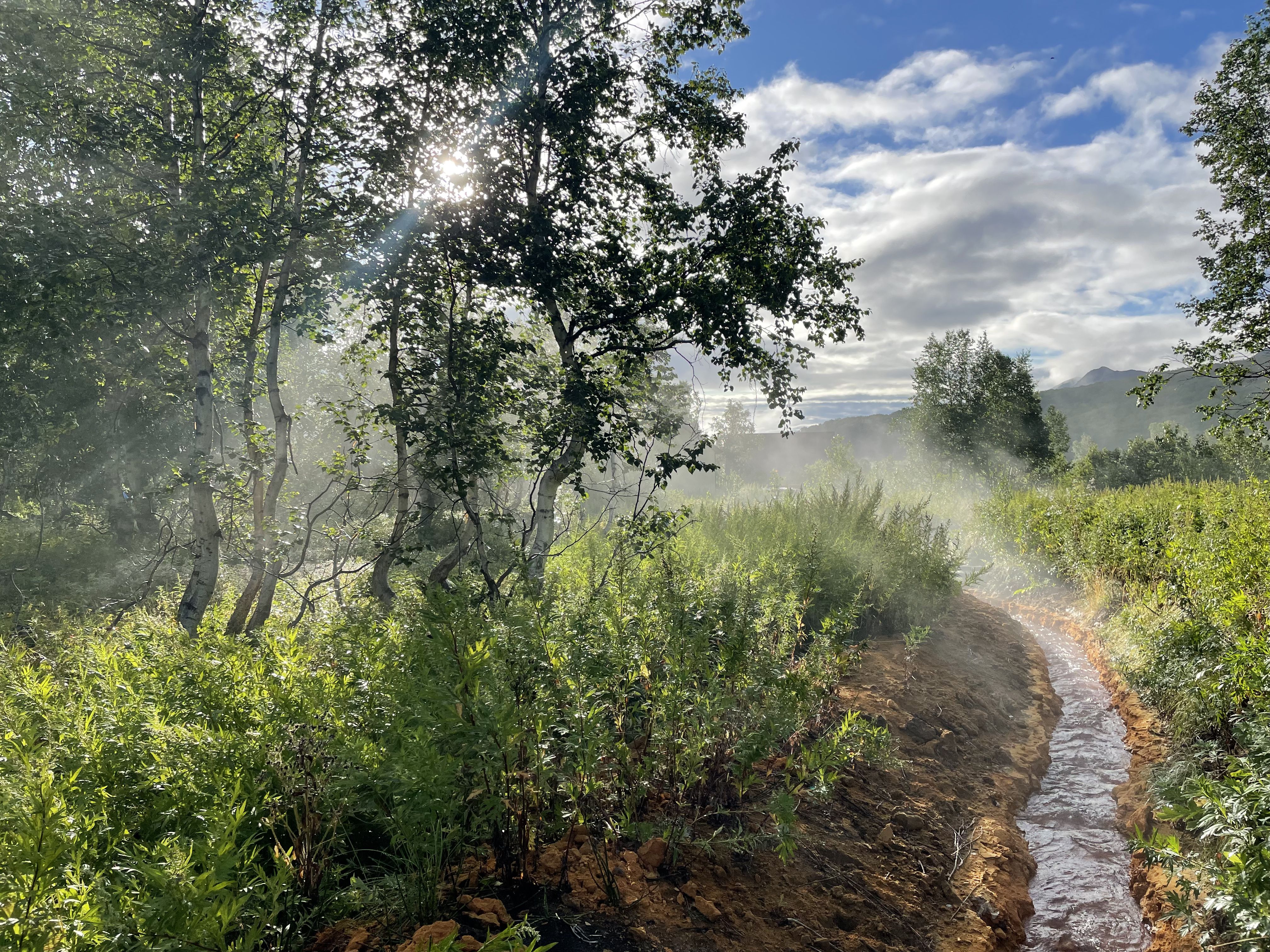 Путешествие по Камчатке: поход и экскурсии (23/39)