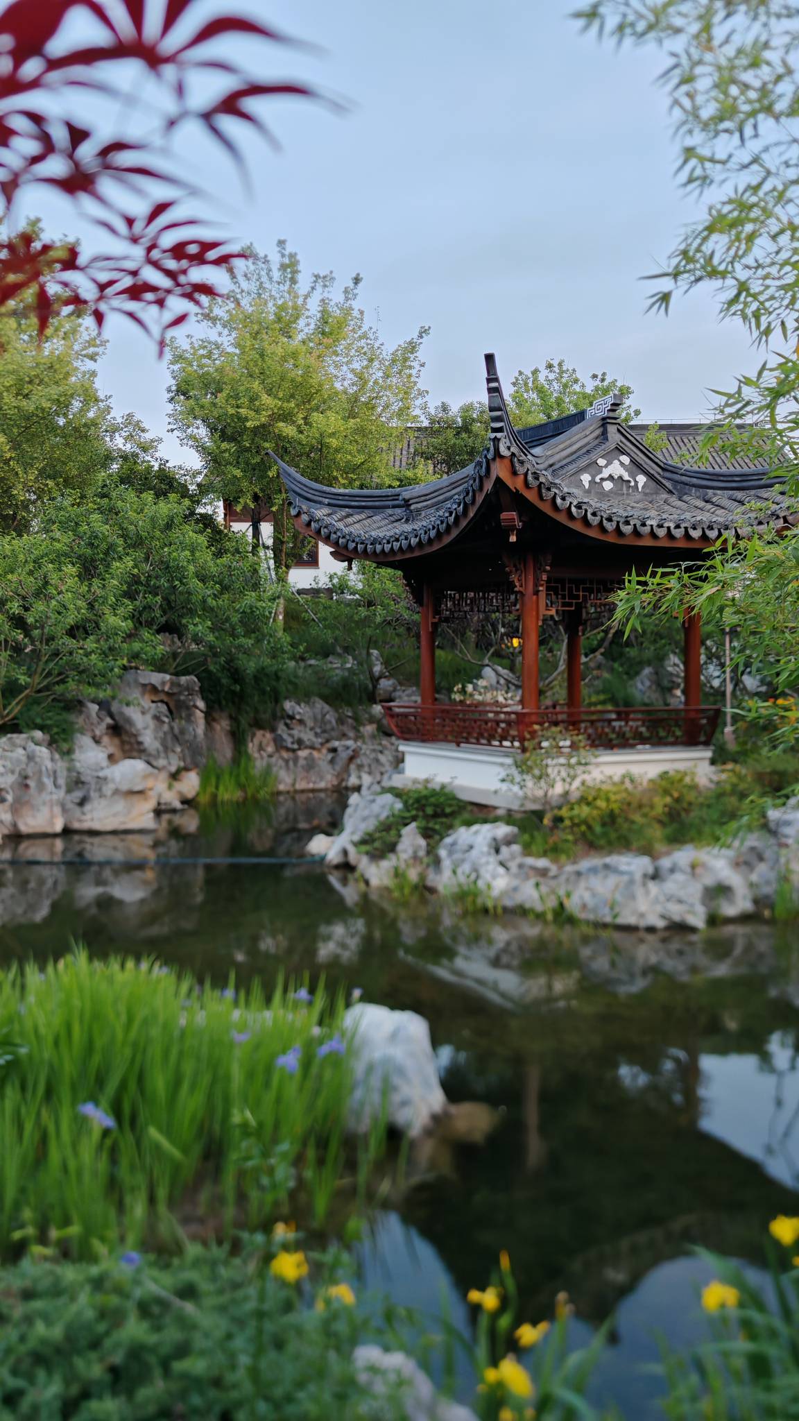 Встречай весну в Восточном Китае: Шанхай, древние деревни, водопады и горы Хуаншань (31/52)