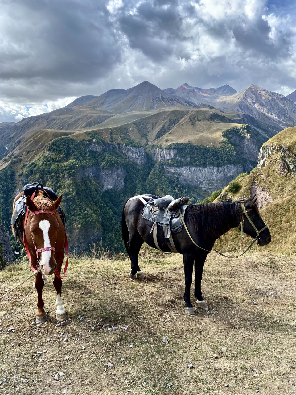 Грузия. Вино и гостеприимство. (3/15)