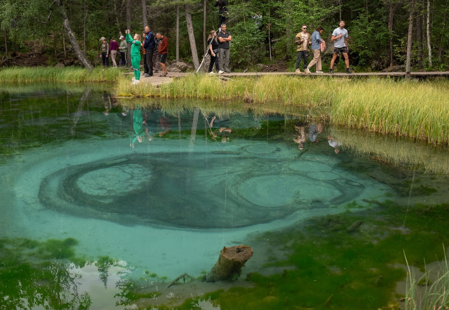 Золотое кольцо Алтая, обзорный автотур (7/42)