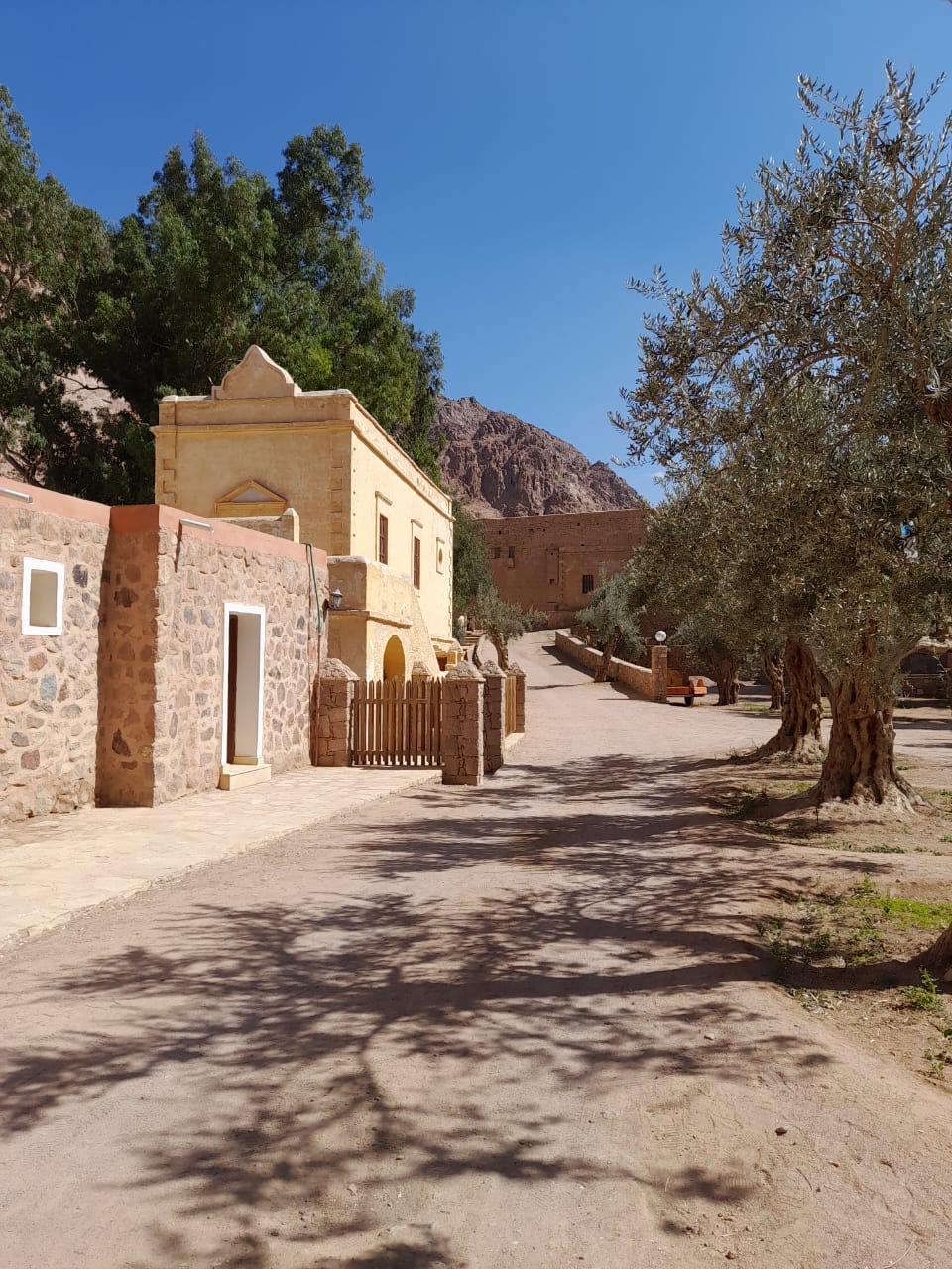 От Пирамид До Иерусалима -Великий Исход В Обетованную Землю (28/38)