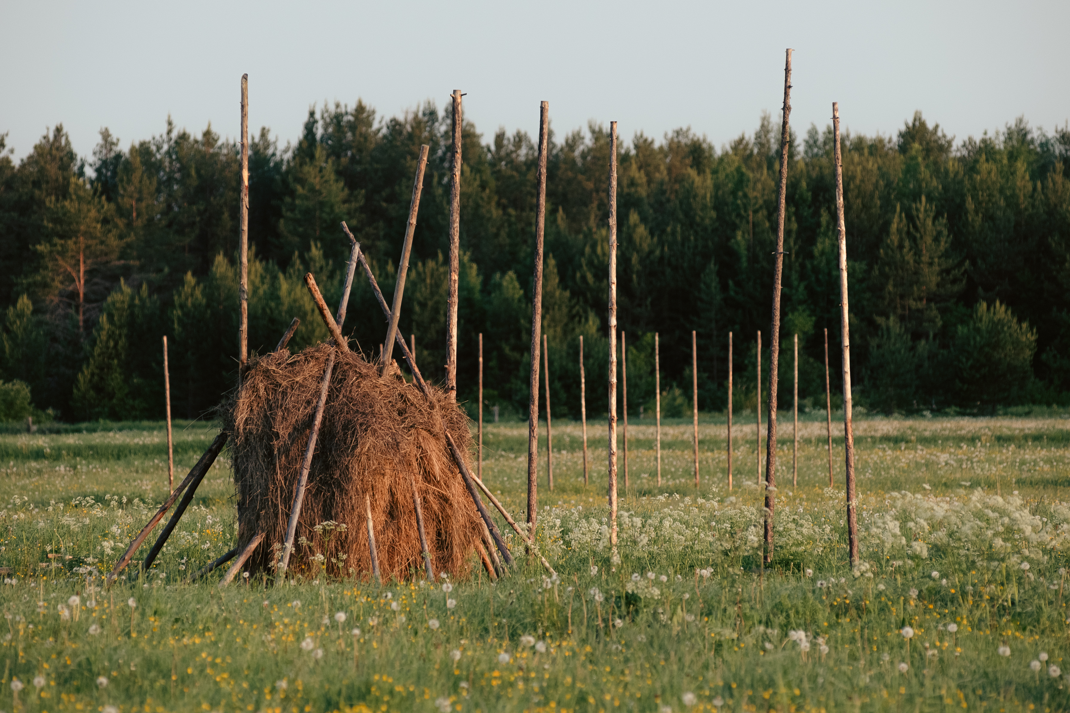 Пинега. В начале было слово. 1 этап (23/24)