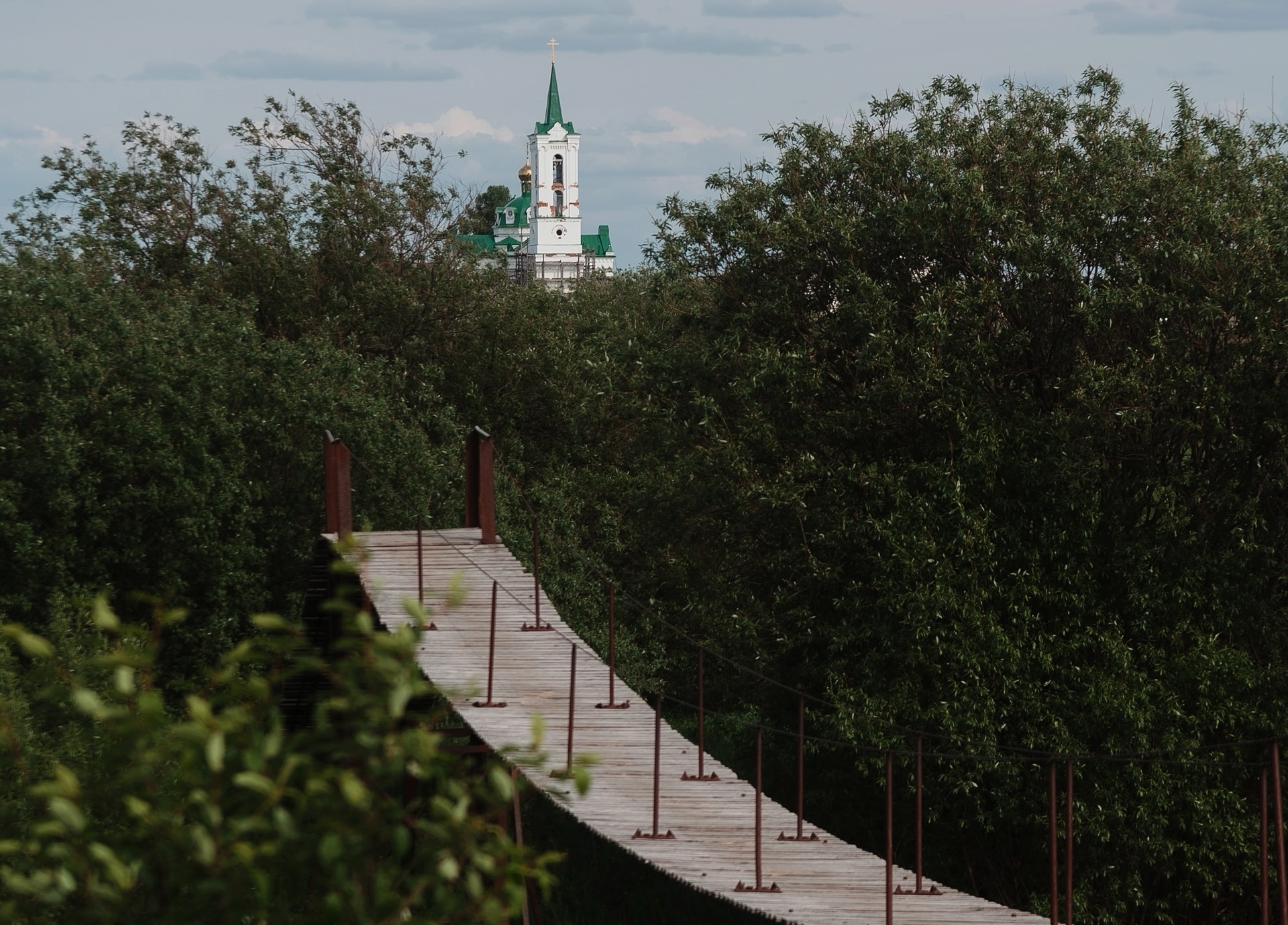 Пинега. В начале было слово. 1 этап (8/24)