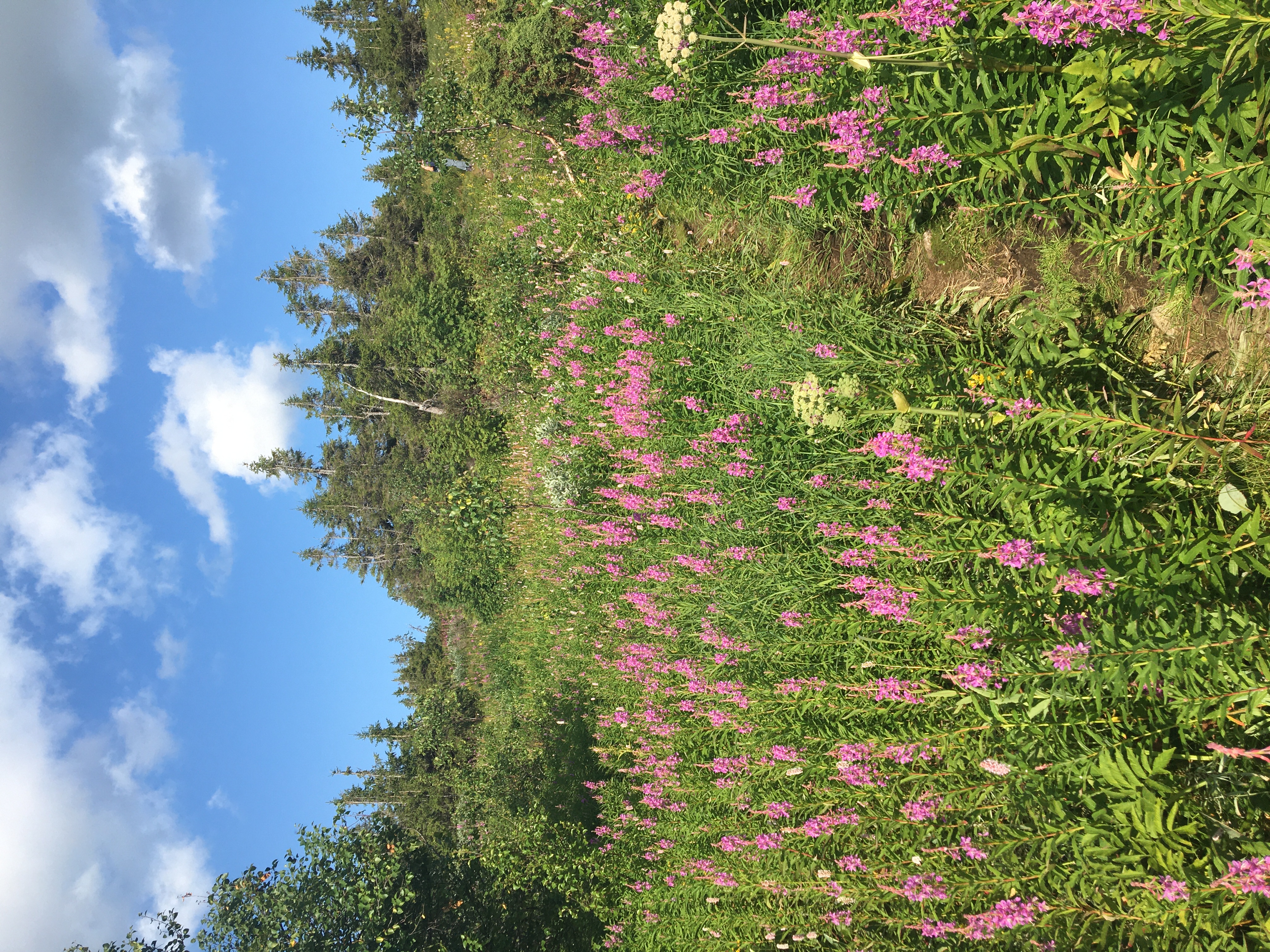 Поход на перевал Дятлова и гору Отортен (3/16)