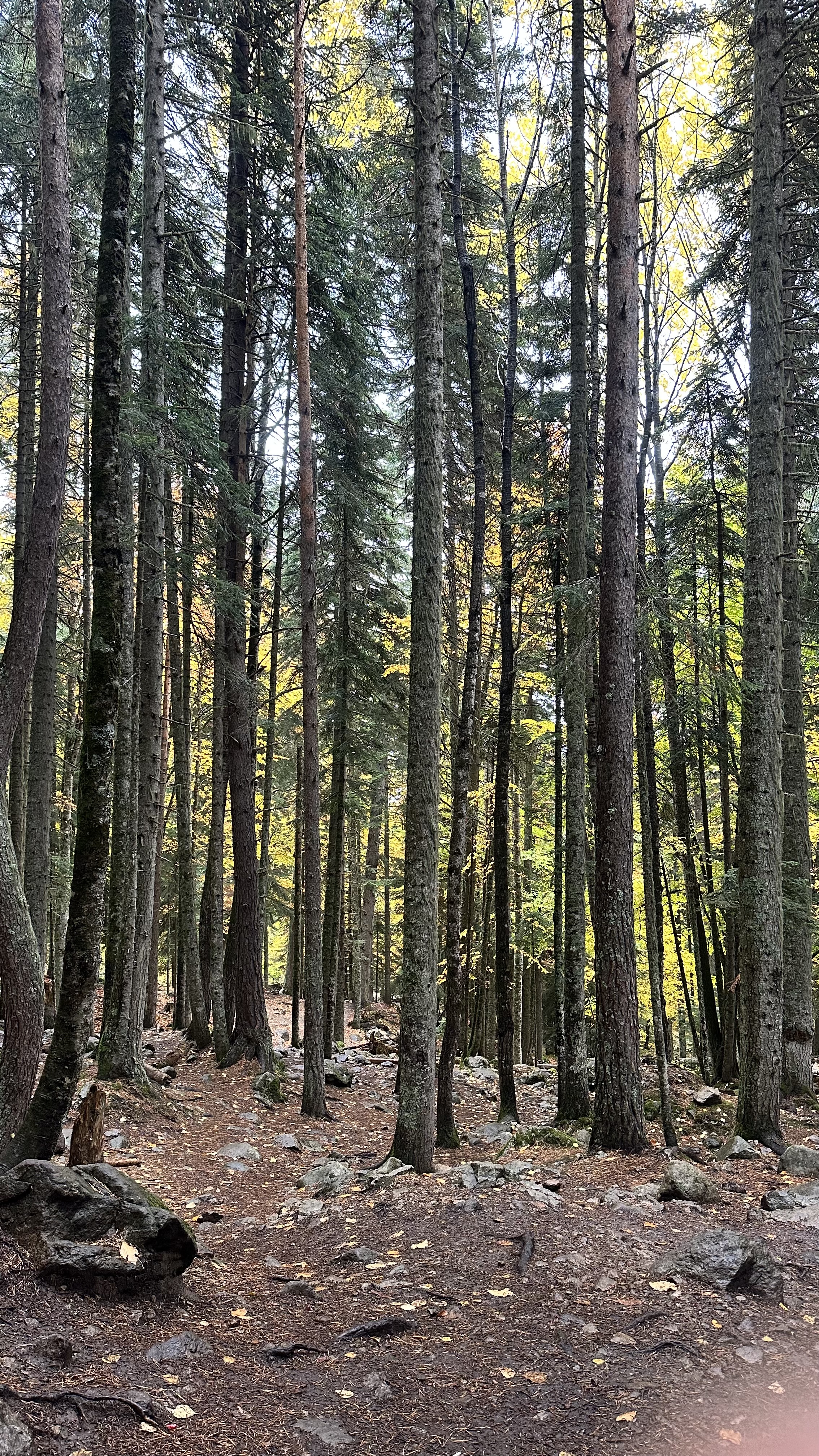 Конный тур Осень в Архызе (24/59)