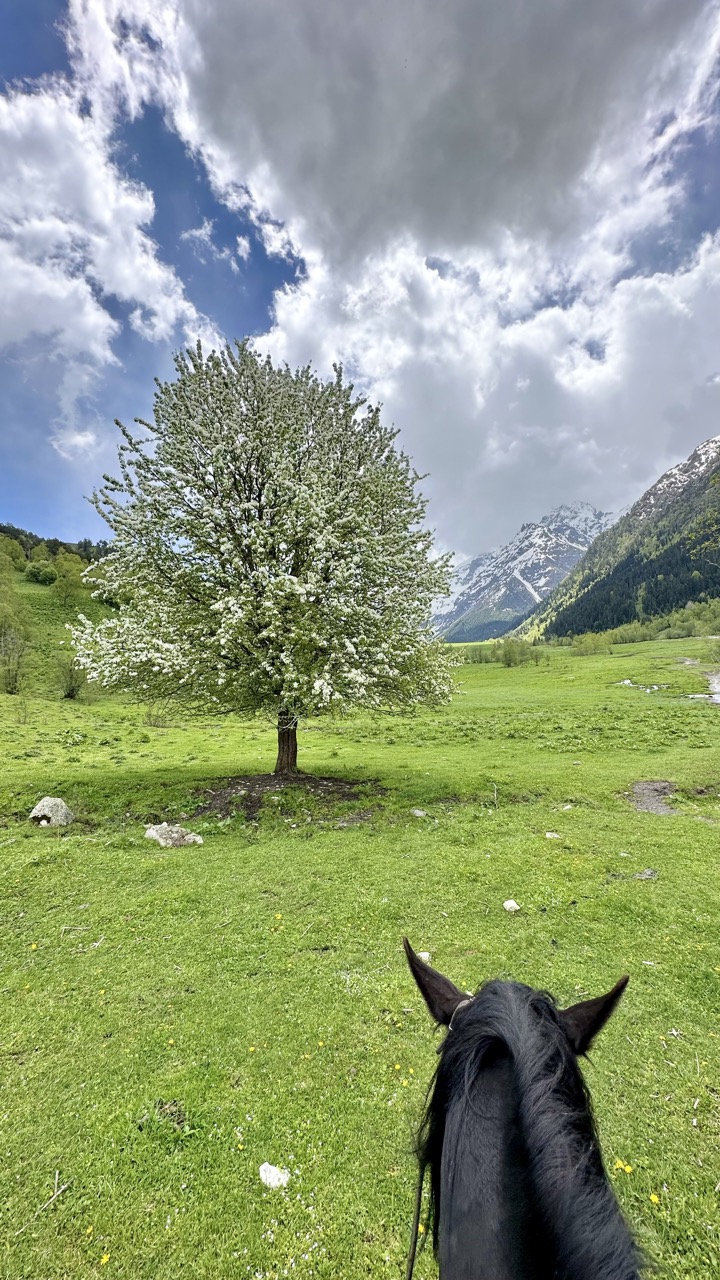 Конная прогулка к Софийскому леднику и водопадам без треккинга (Архыз) (2/13)