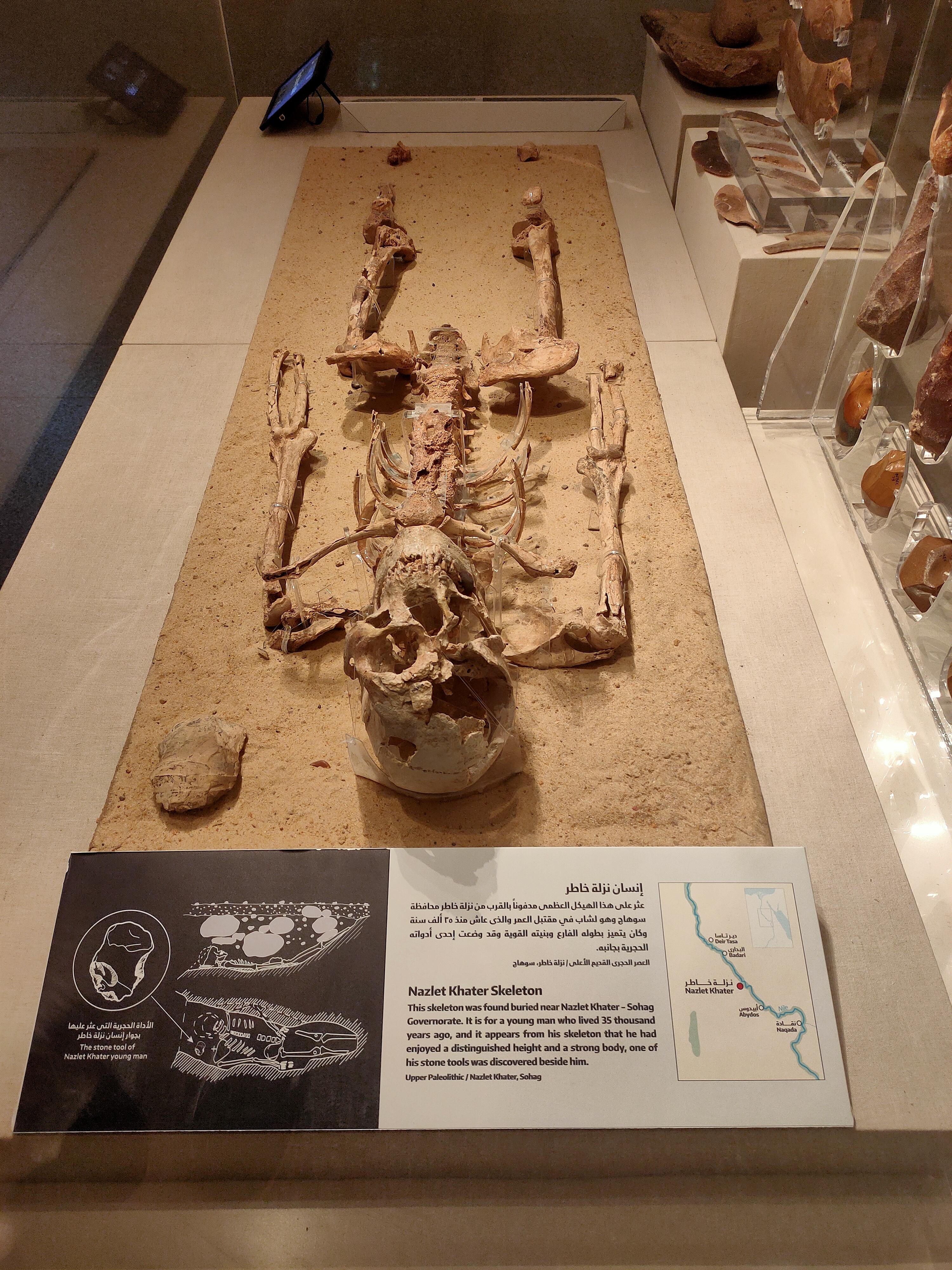 Алебастровая мечеть Мухаммеда Али и мумии фараонов (от 1 до 5 человек) (10/10)