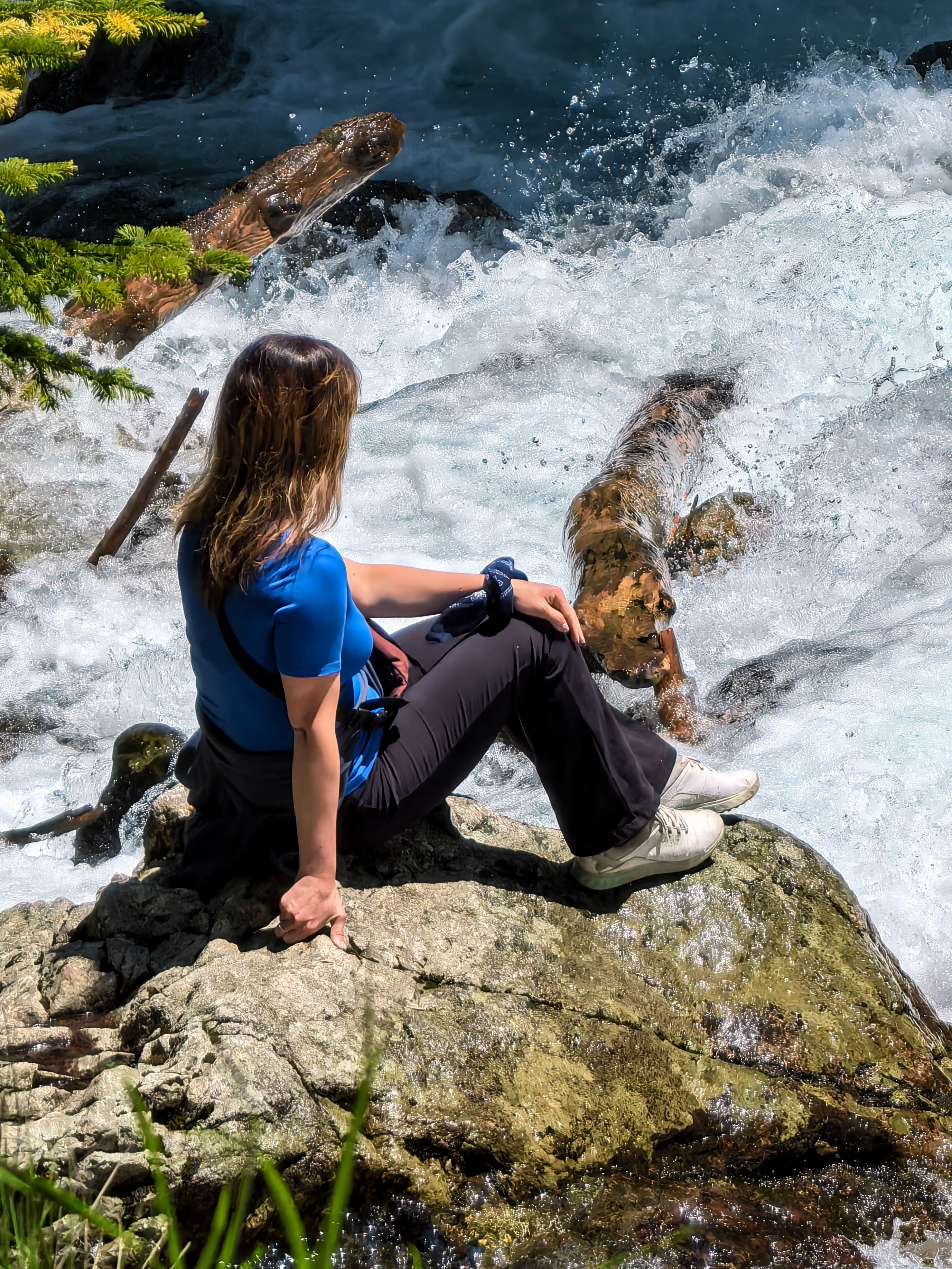 Конный тур Осень в Архызе (22/59)