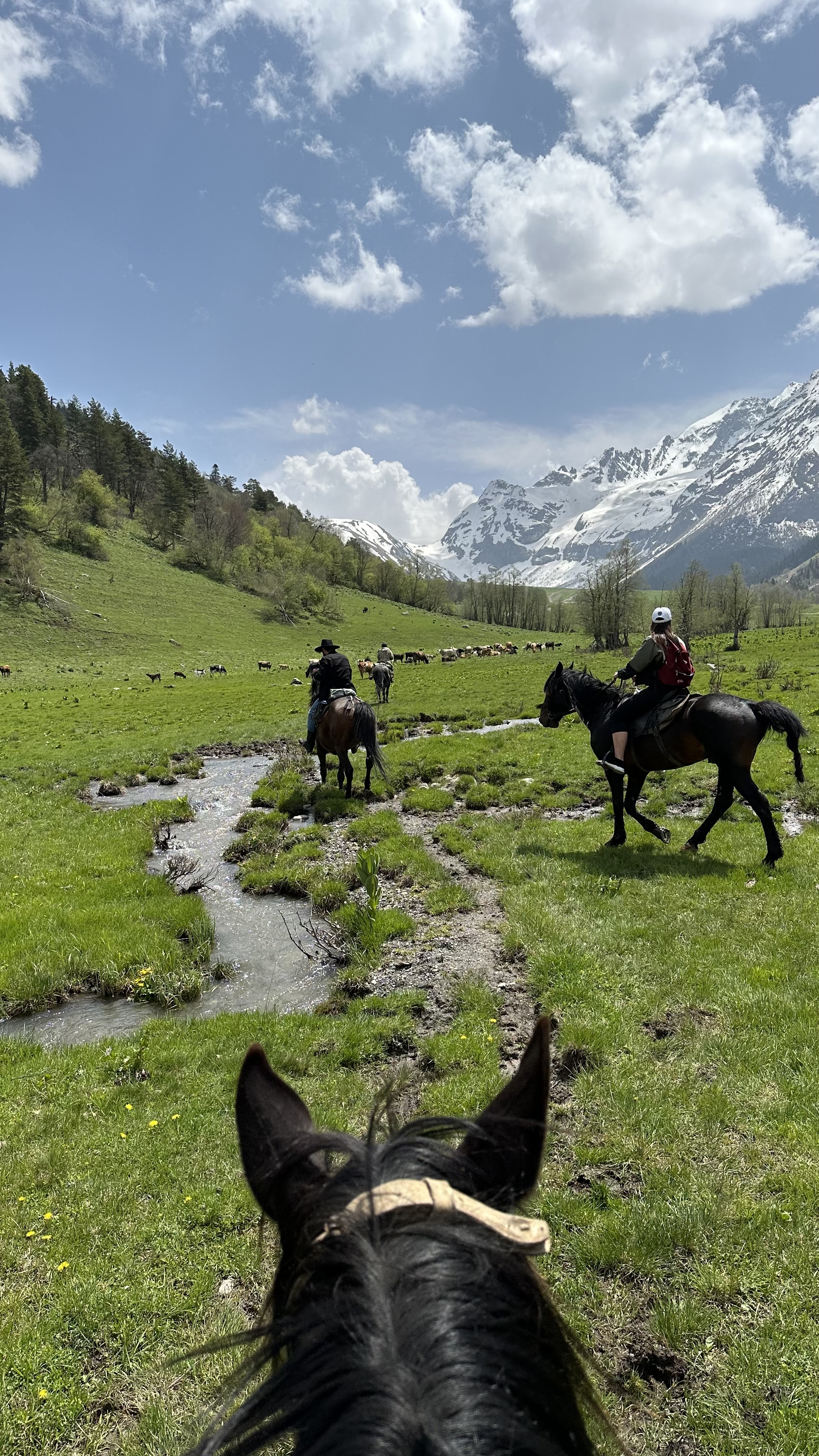 Конная прогулка к Софийскому леднику и водопадам без треккинга (Архыз) (4/13)