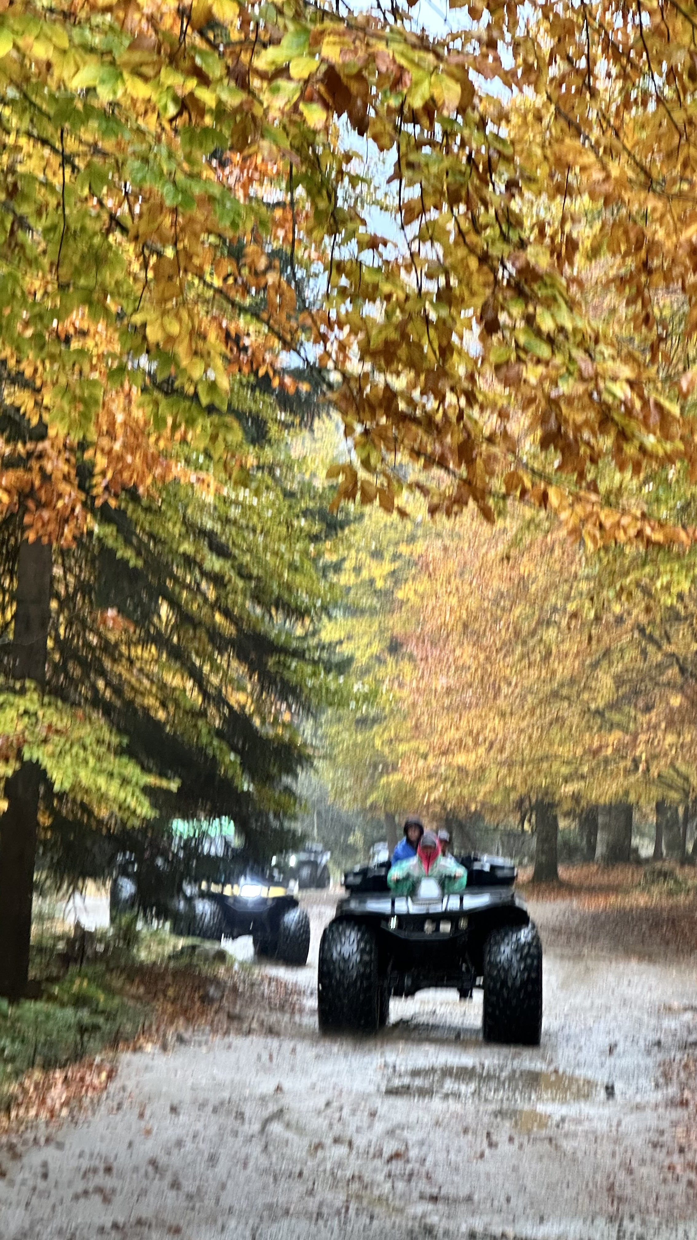 Конный тур Осень в Архызе (26/59)