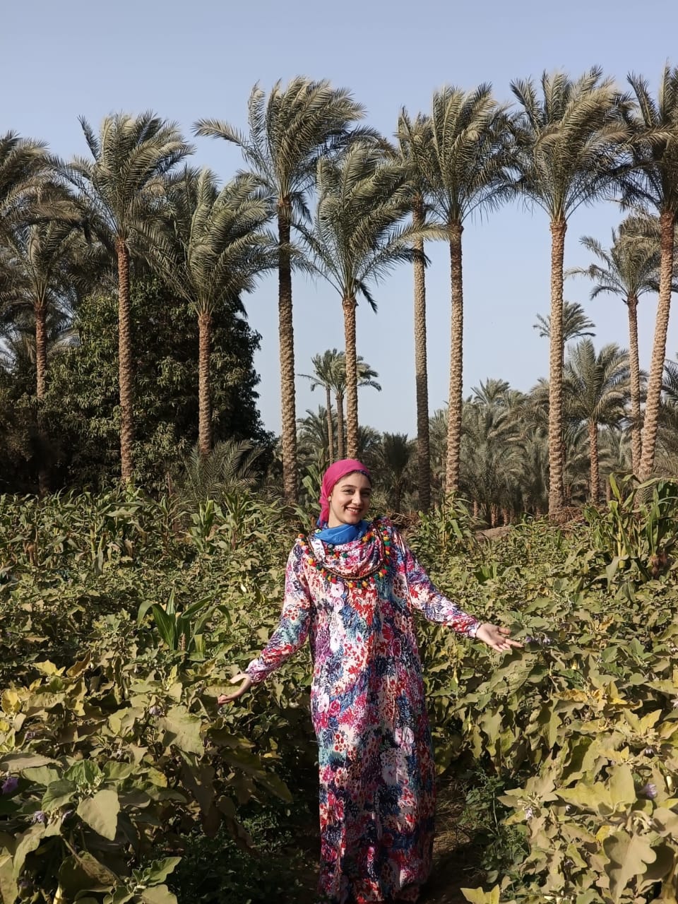 Тайны Саккары Дахшура и фермы (13/16)