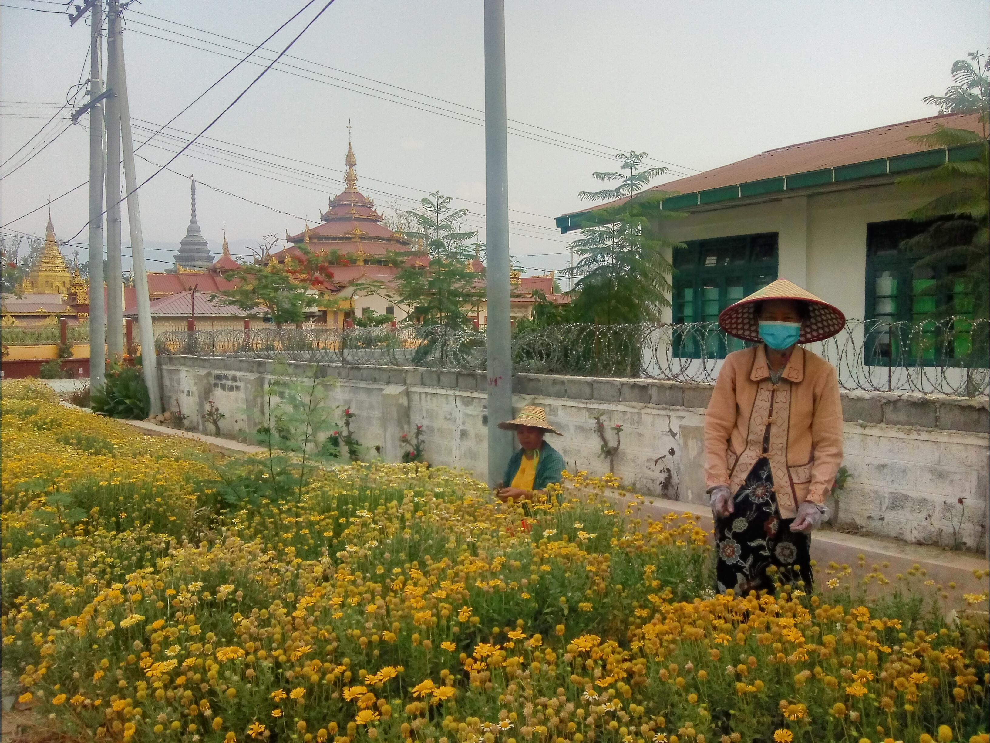 Мьянма: Золотой путь Бирмы (7/27)