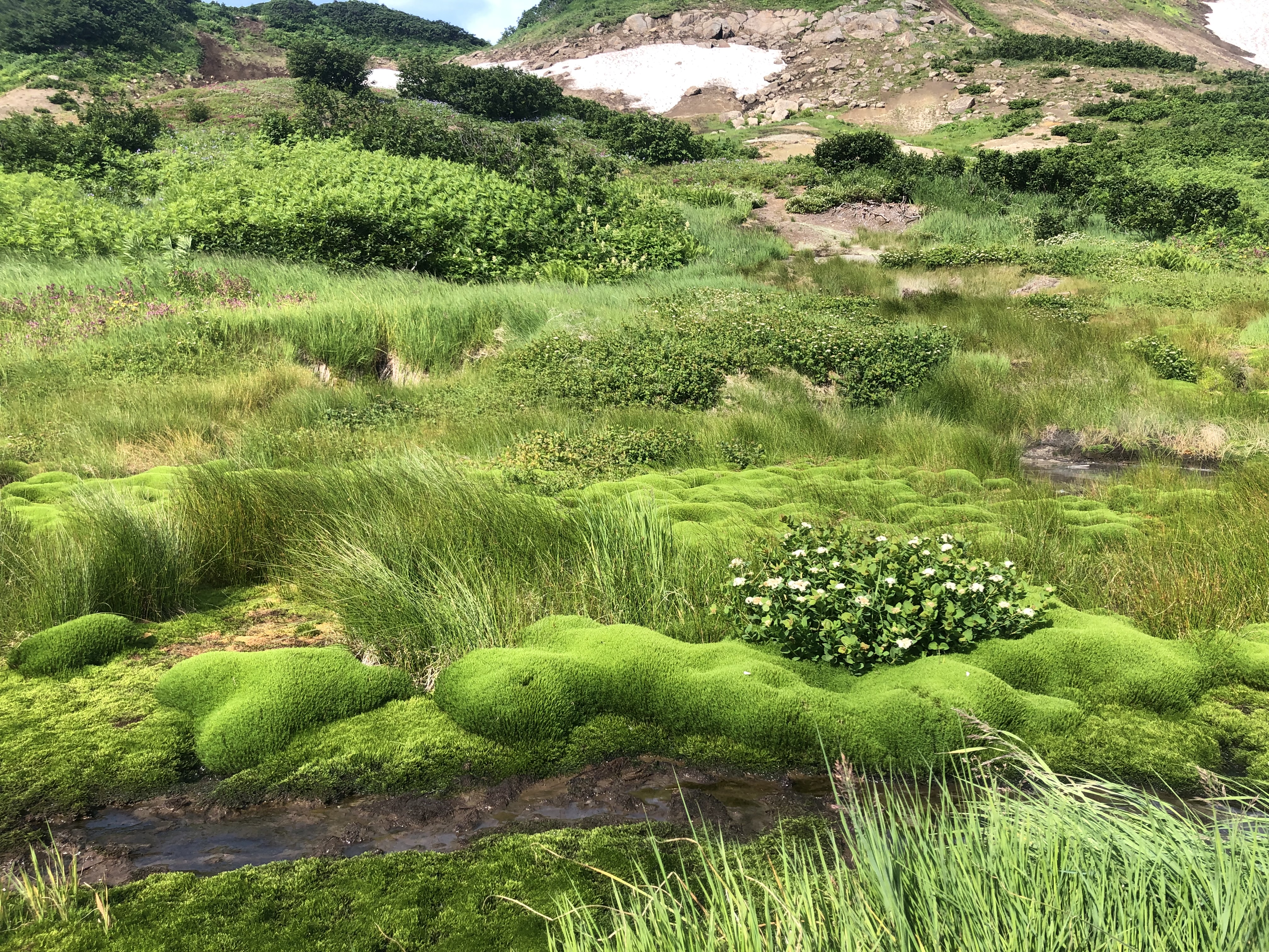 Фантастическая Камчатка: Вулканы, серфинг, океан! (22/30)