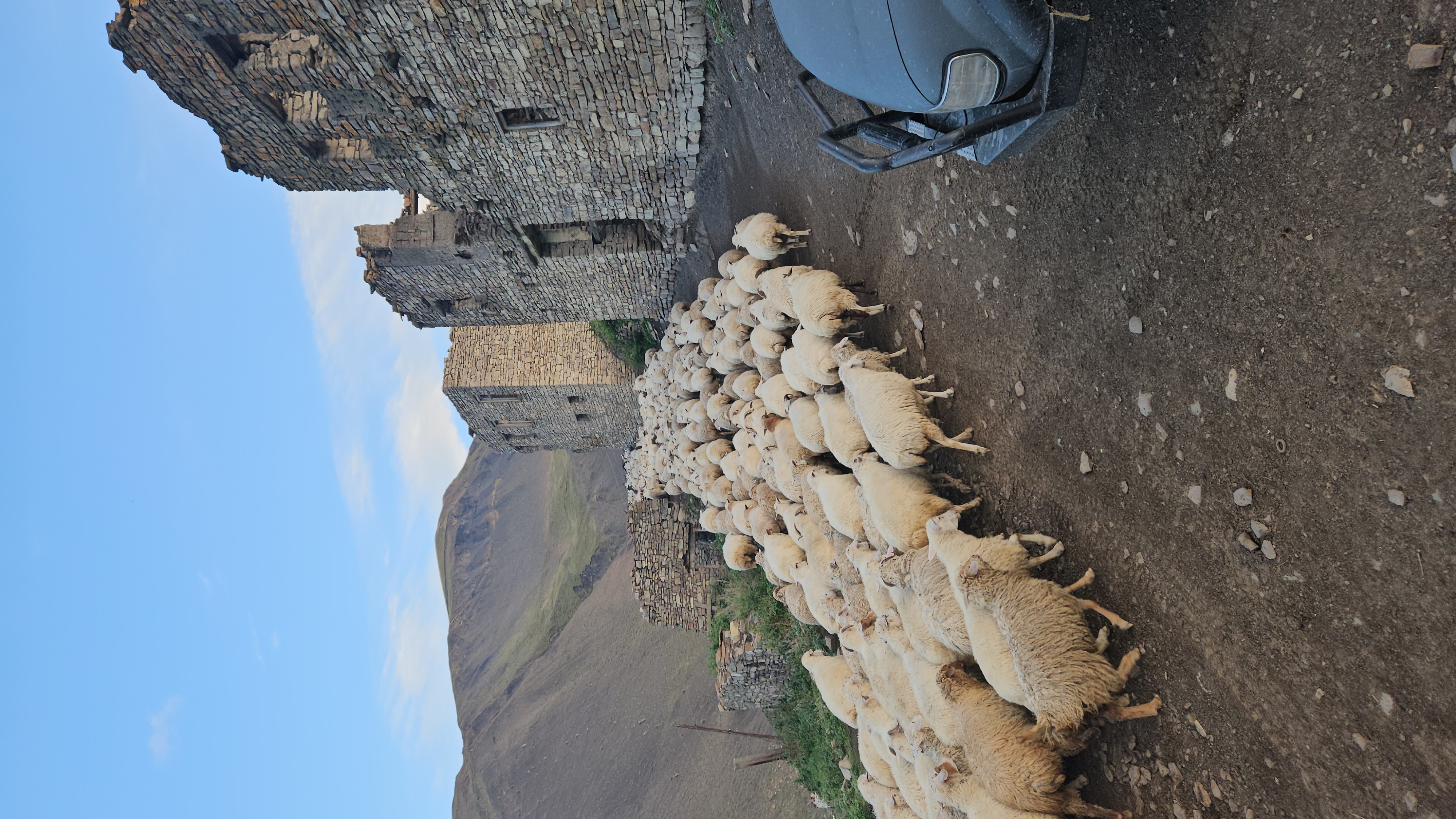 С душой по Дагестану (13/32)