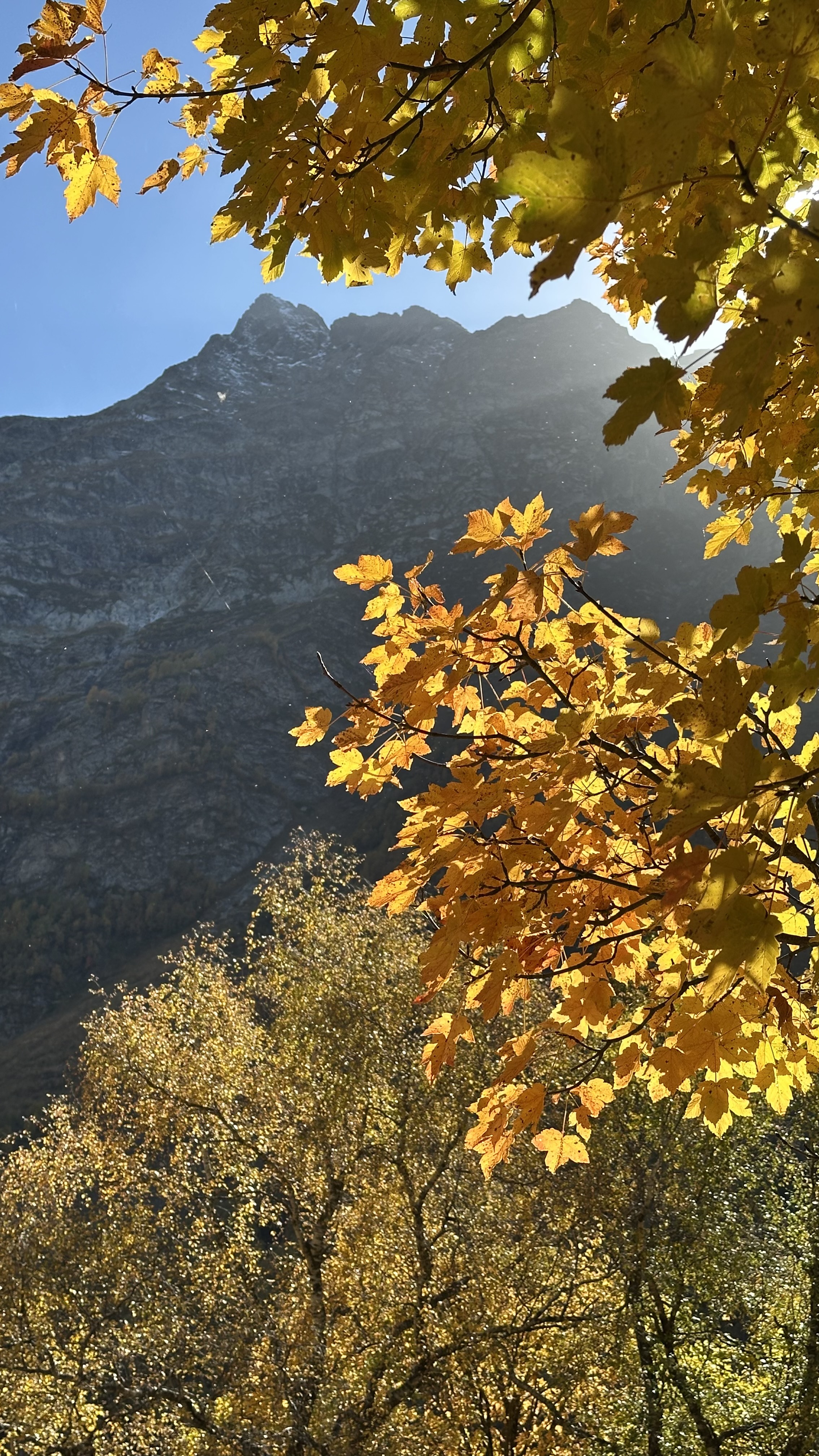 Конный тур Осень в Архызе (30/59)