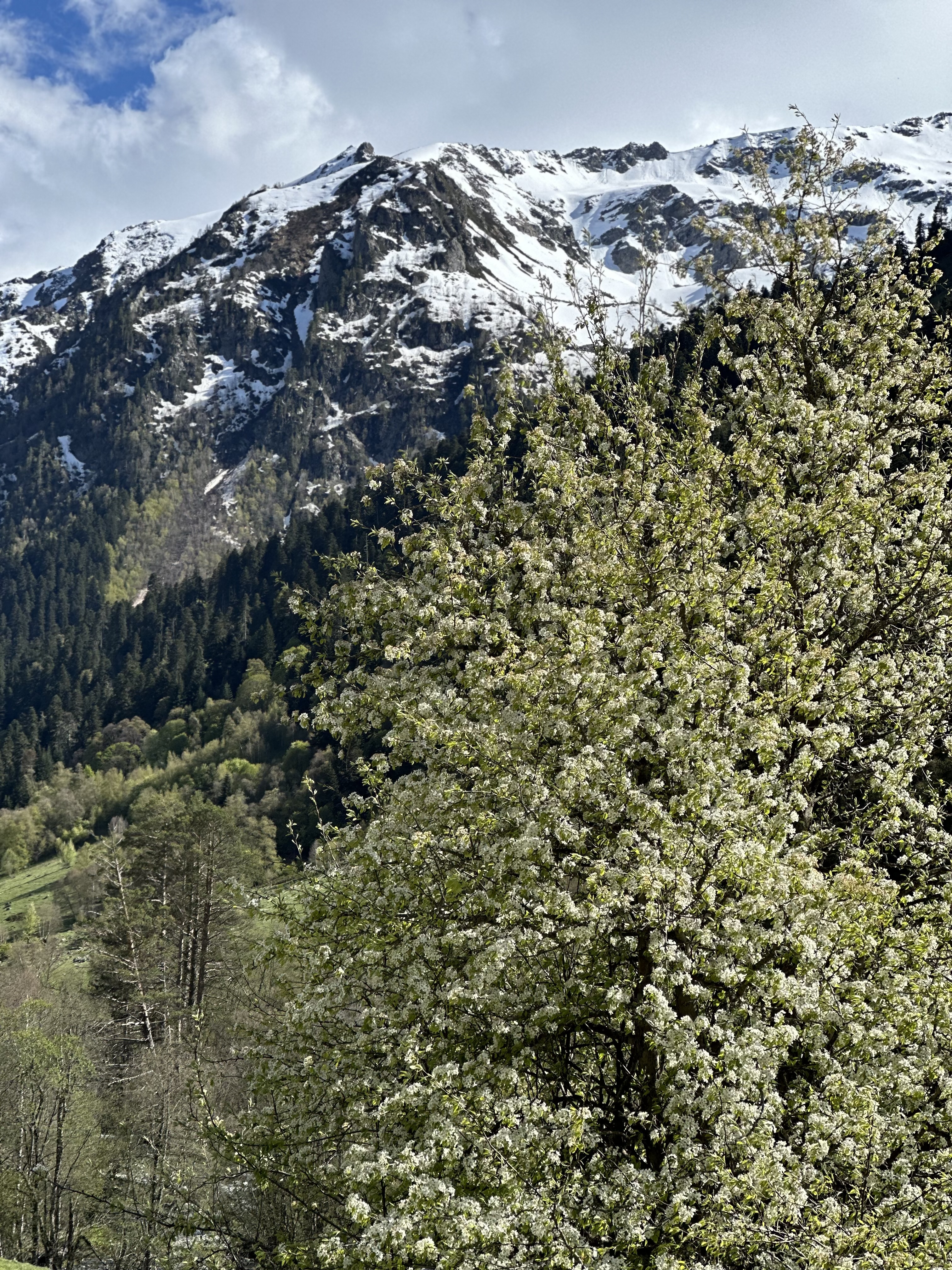 Конная прогулка к Софийскому леднику и водопадам без треккинга (Архыз) (12/13)