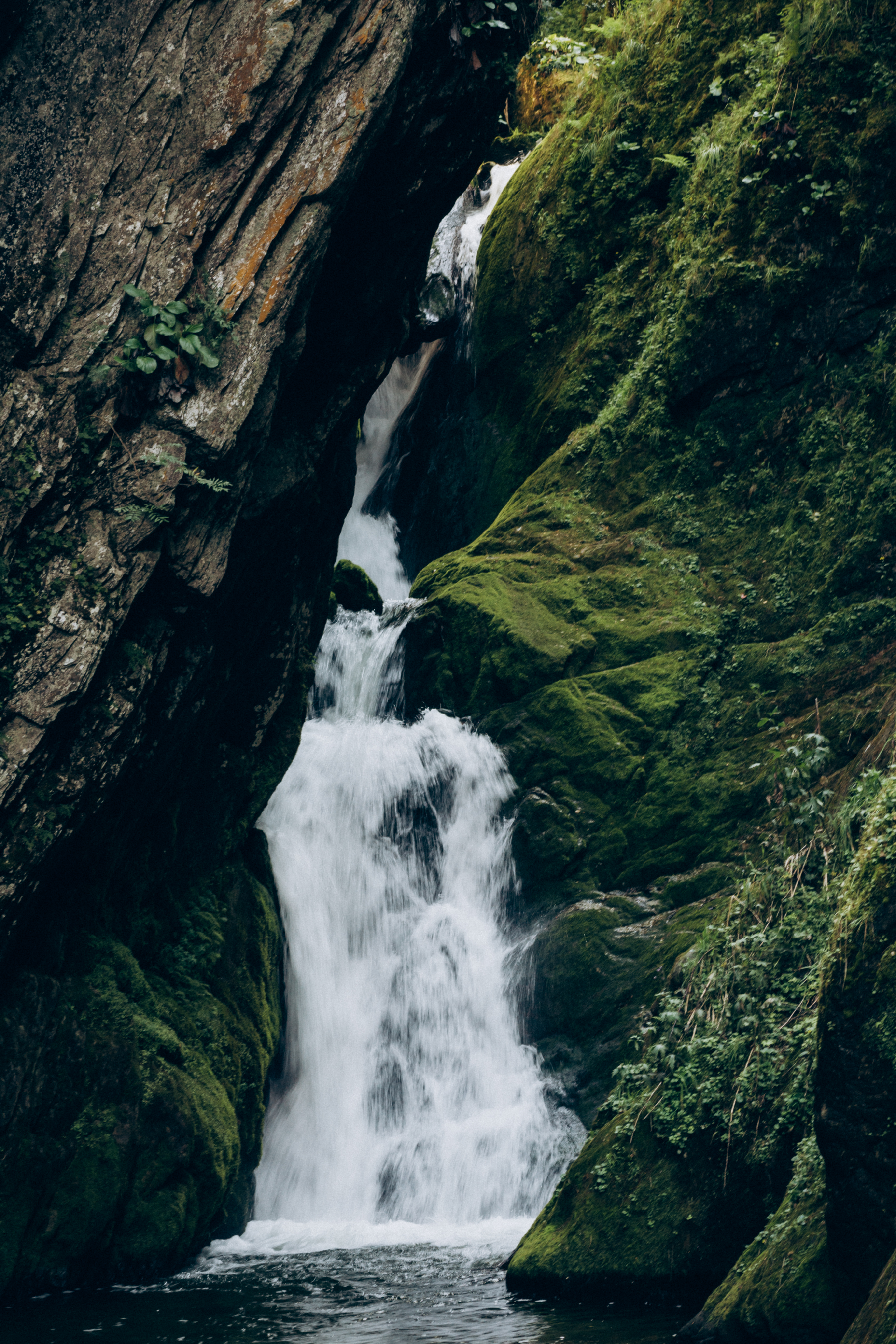 По глади Телецкого озера (9/10)