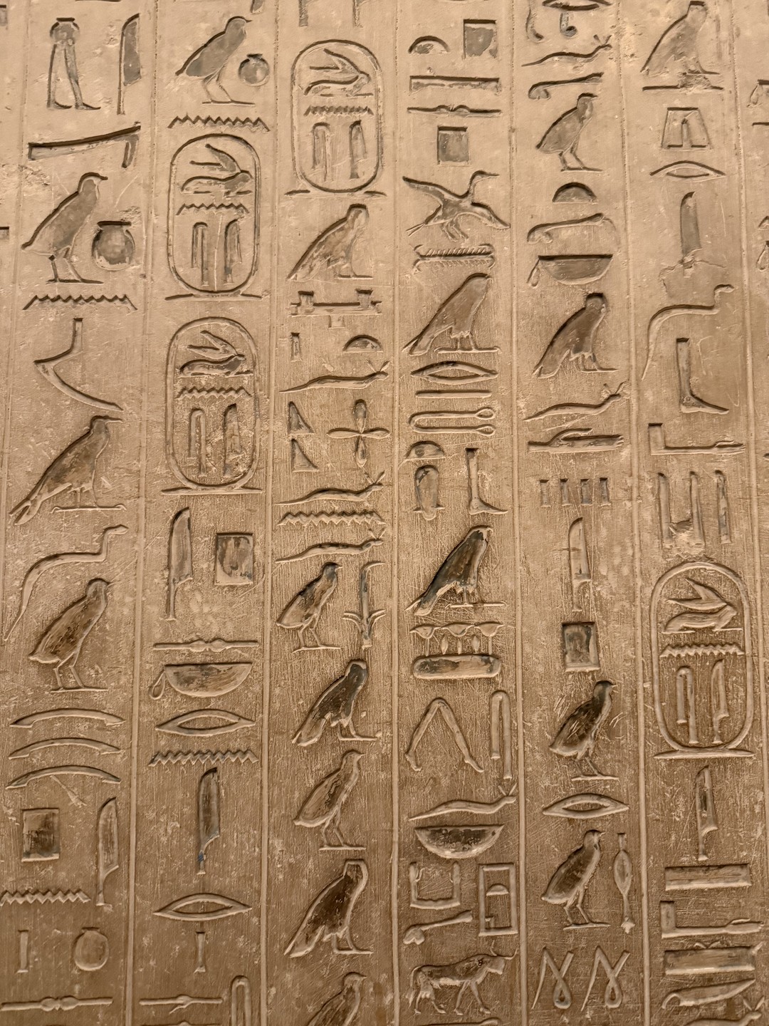 Тайны Саккары Дахшура и фермы (15/16)