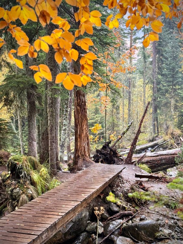 Конный тур Осень в Архызе (28/59)
