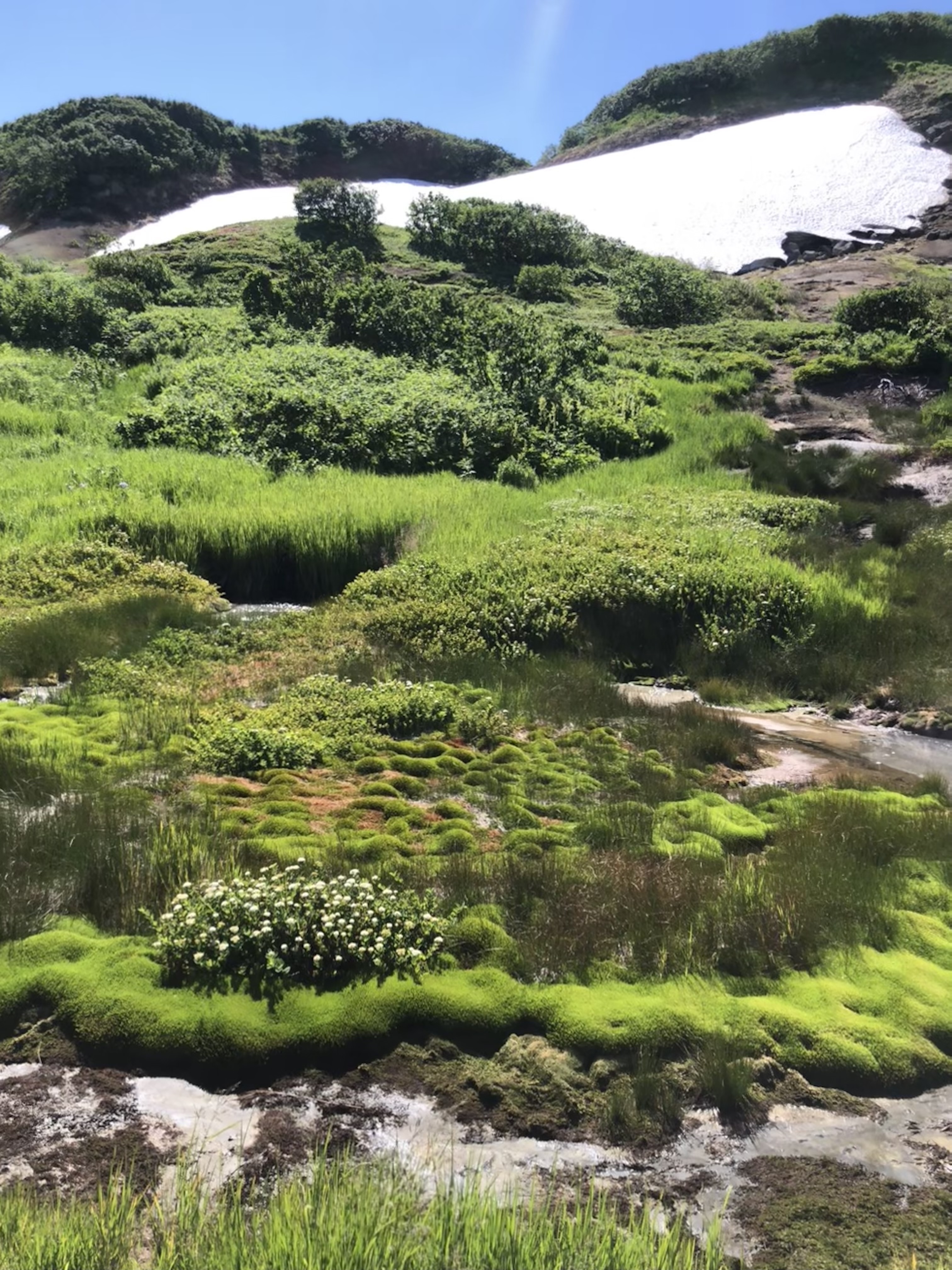 Фантастическая Камчатка: Вулканы, серфинг, океан! (6/30)