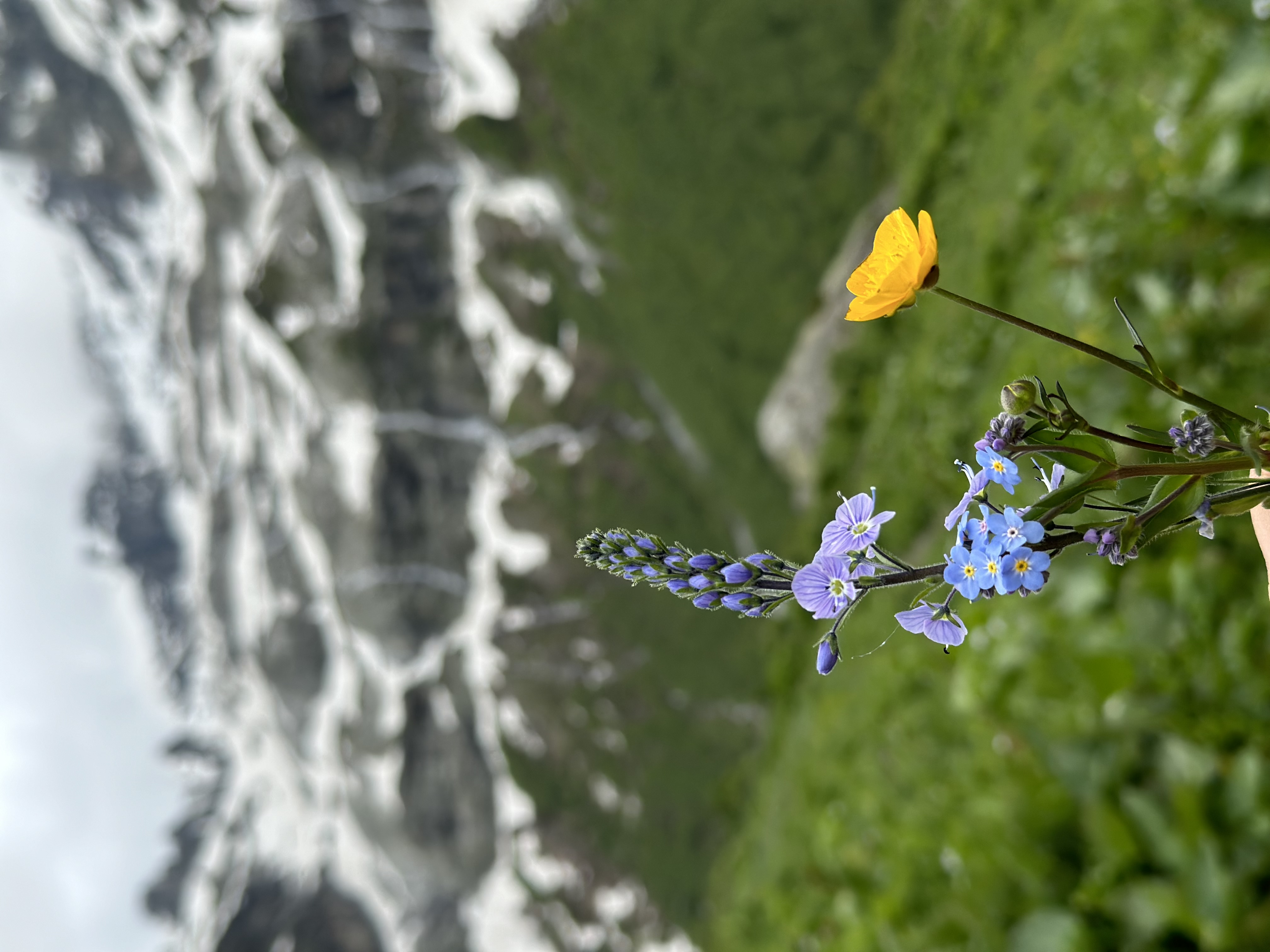 Конная прогулка к Софийскому леднику и водопадам без треккинга (Архыз) (11/13)