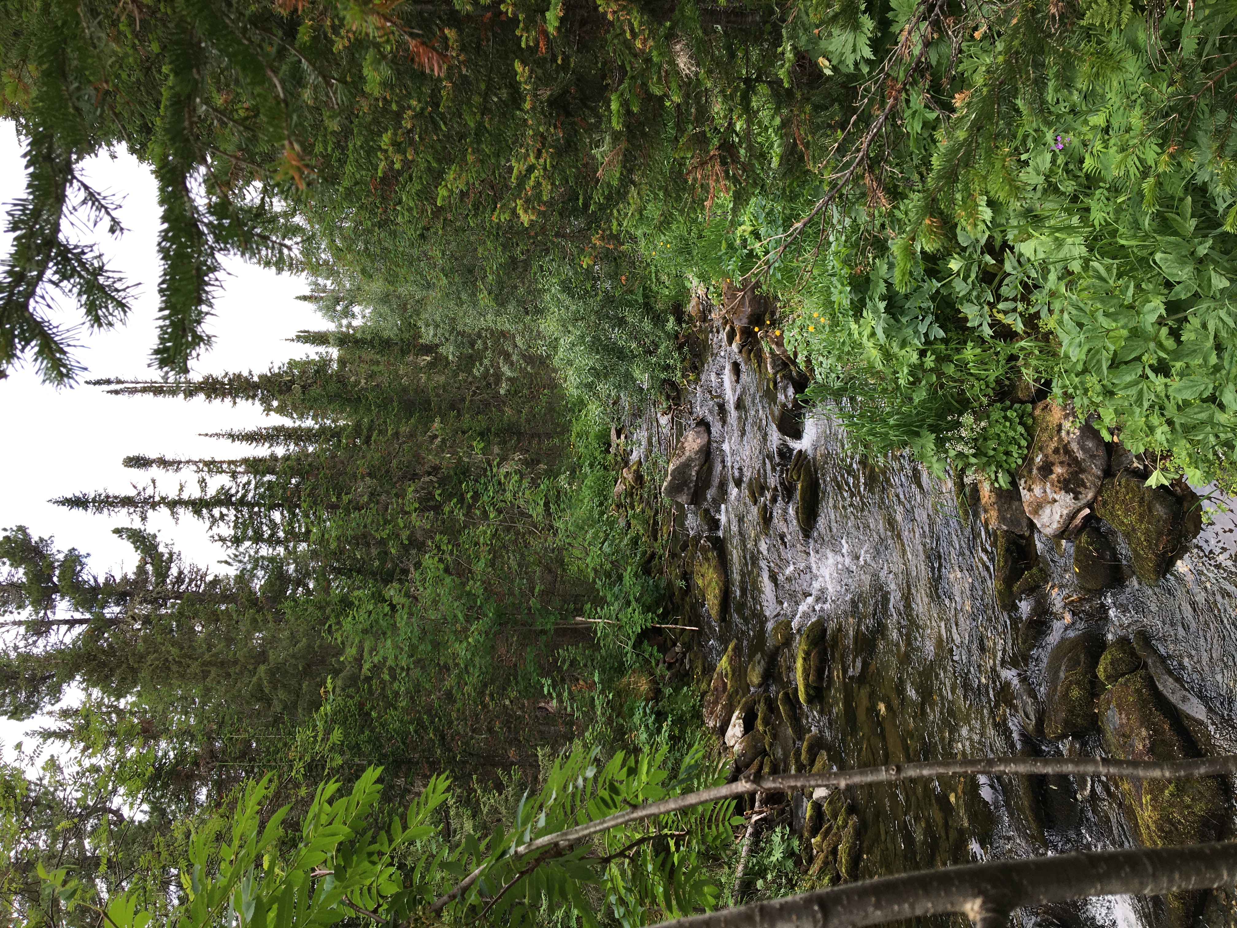 Поход на перевал Дятлова и гору Отортен (4/16)